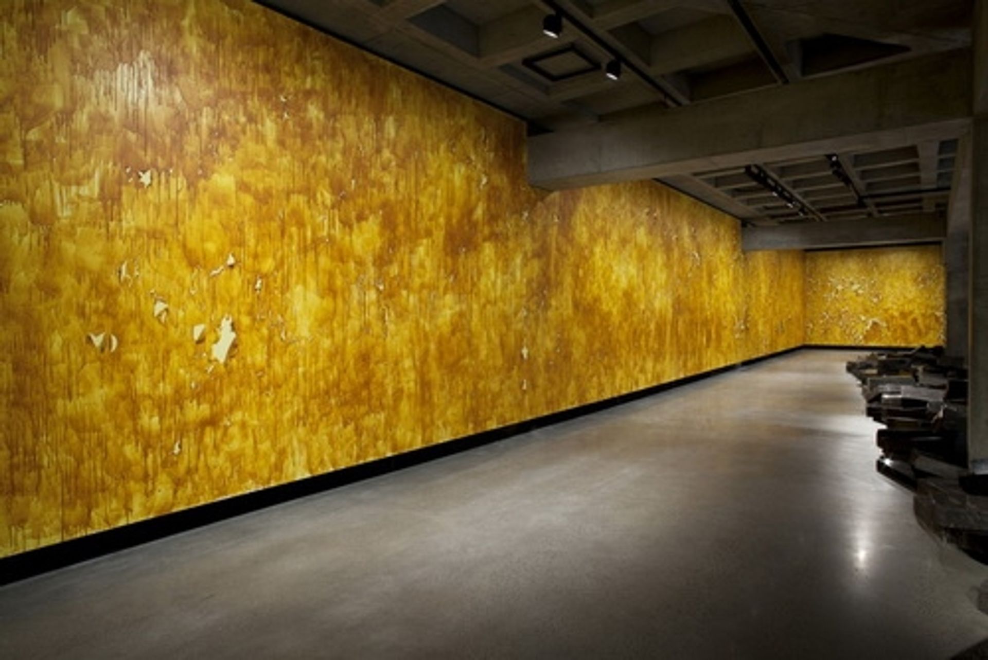 Mur de pellicules by Michel Blazy