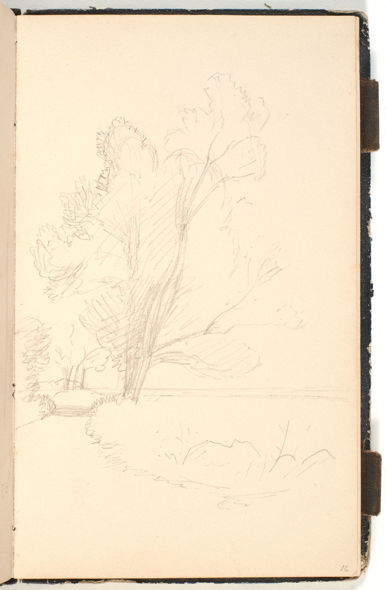 Åparti med høje træer by P.C. Skovgaard
