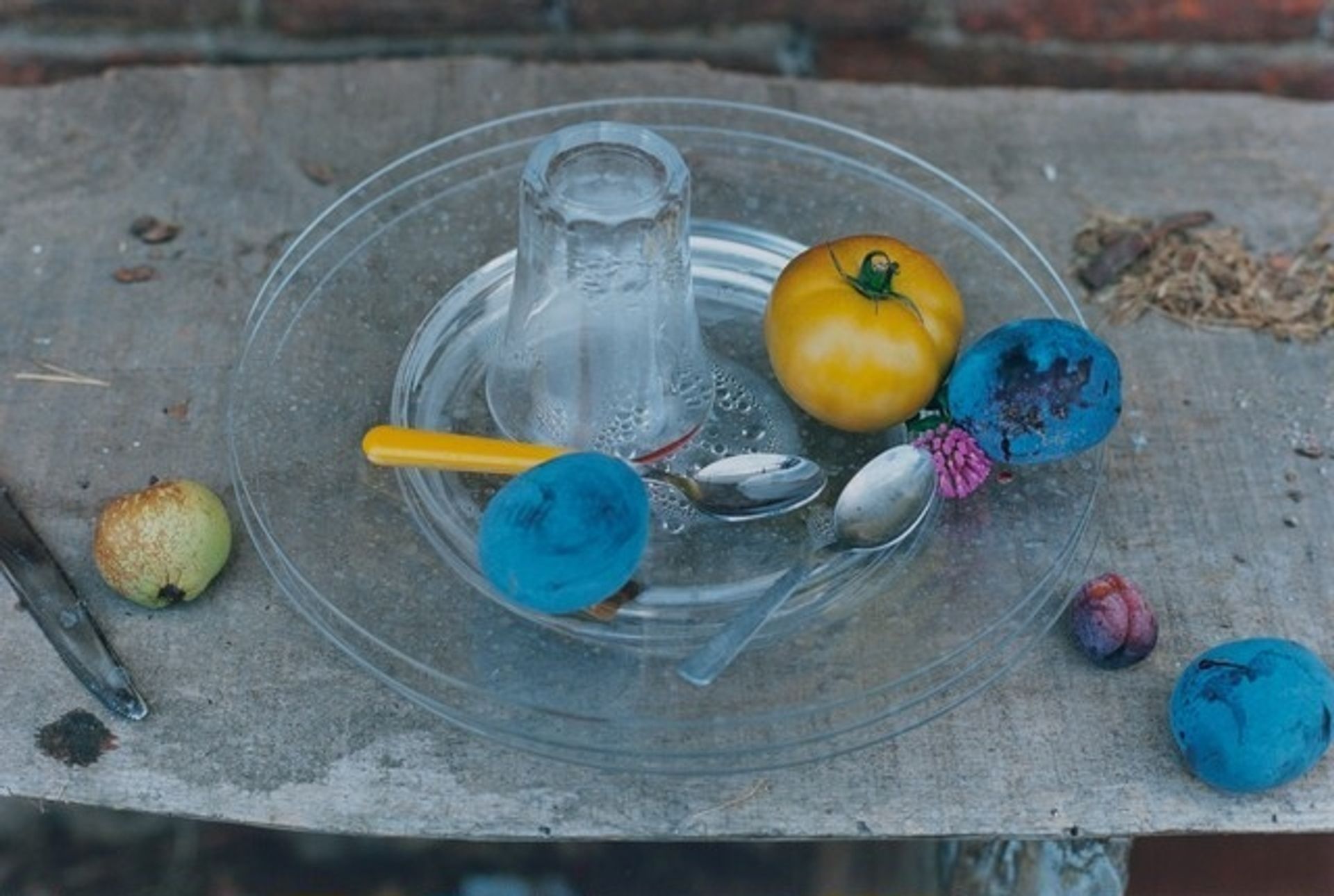 August - Wolfgang Tillmans | Artera | AskArtera ヴォルフガング・ティルマンス『Still Life』