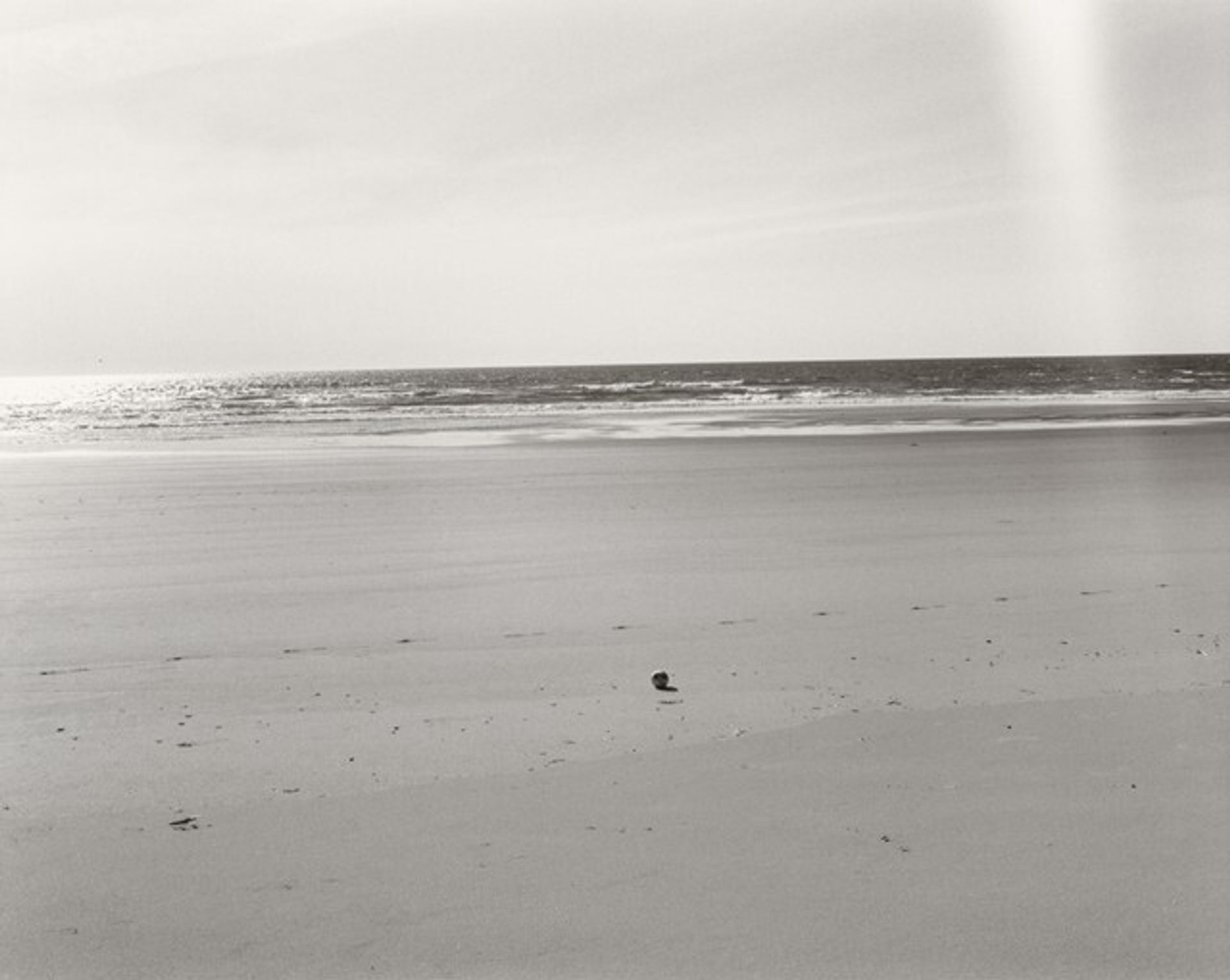The Sea Beach by Robert Adams