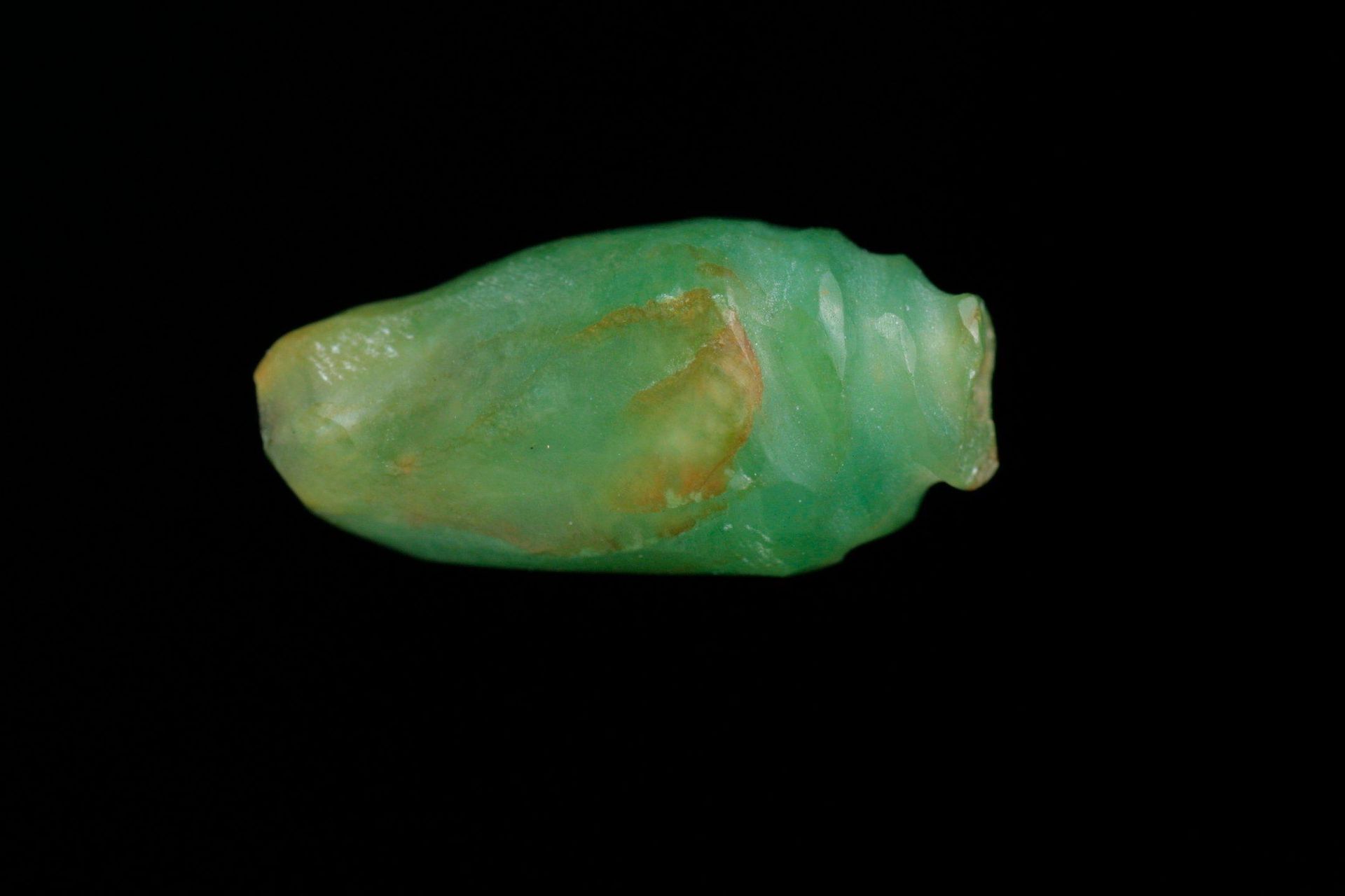 Bead in the Shape of a Conch Shell by Anonymous