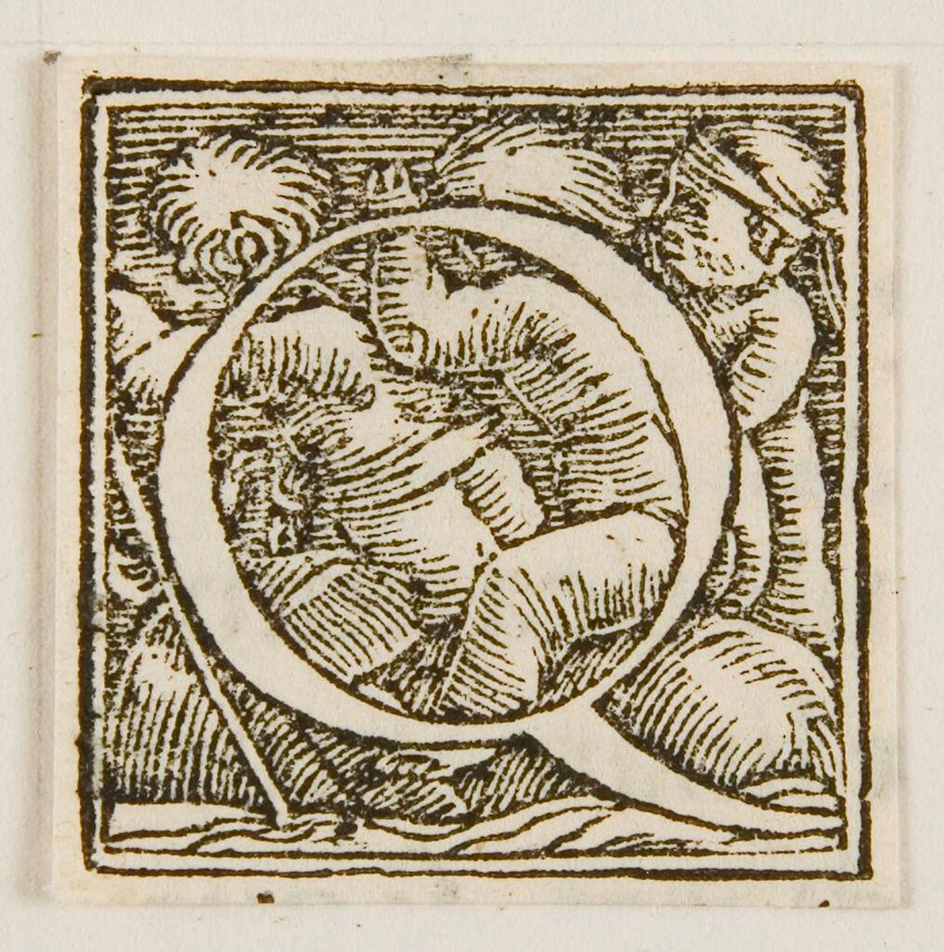 Letter Q by Hans Holbein the Younger