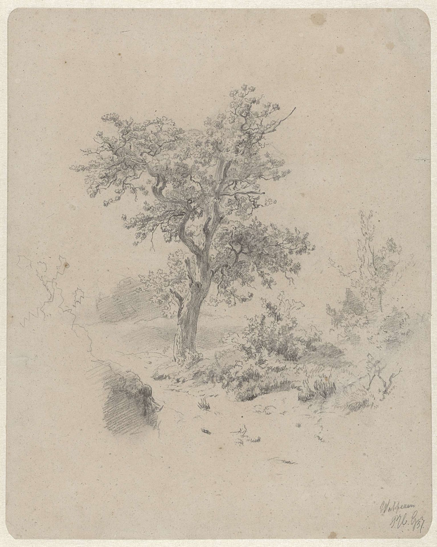 Landschap met eik by Paul Joseph Constantin Gabriël