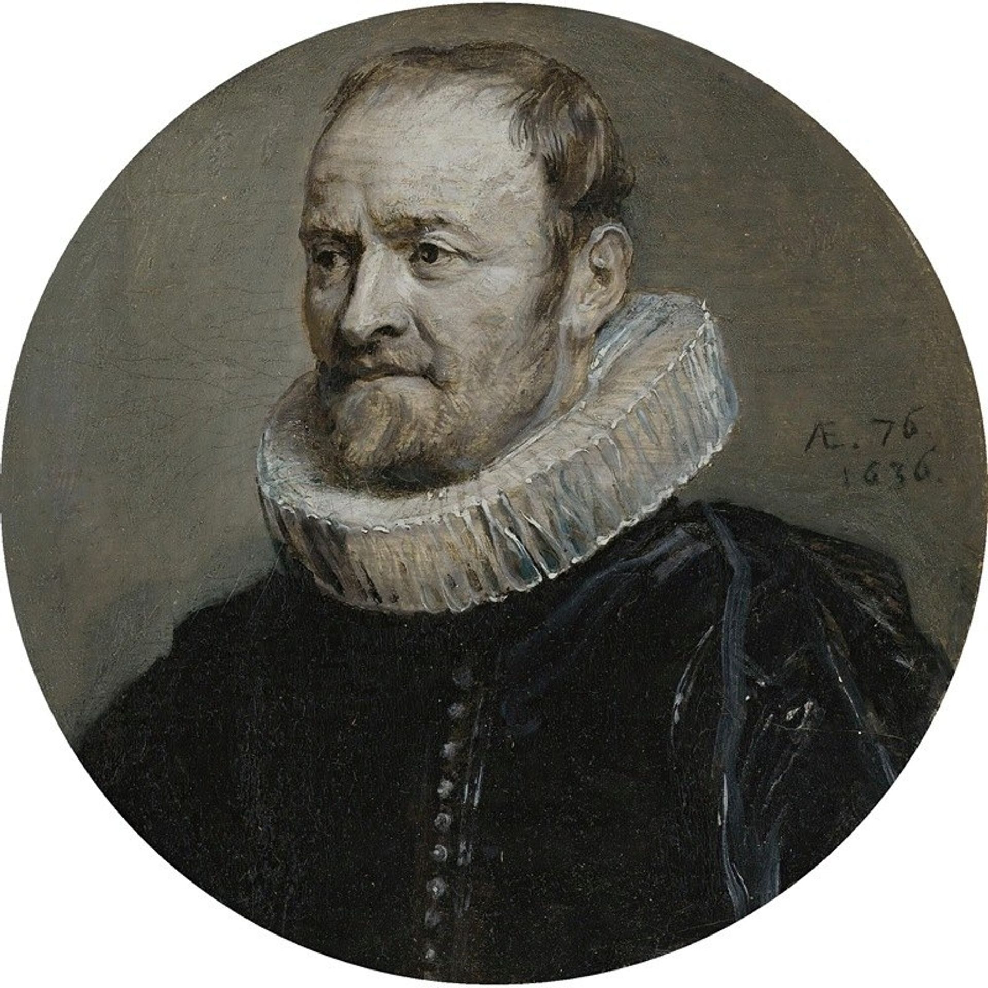 Portrait Of Nicholas Rockox by Anthony van Dyck