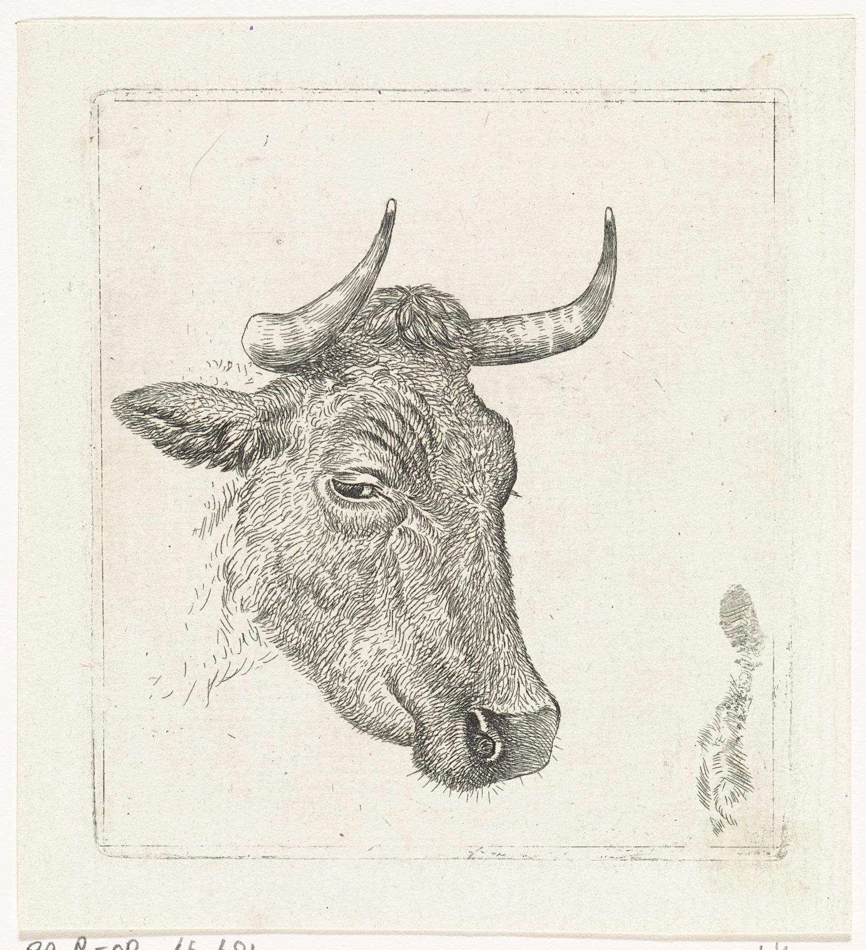 Koeienkop A by Wouter Johannes van Troostwijk