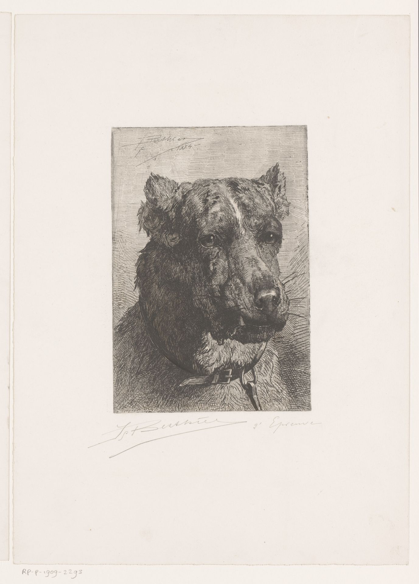 Kop van een hond by H. Berthier