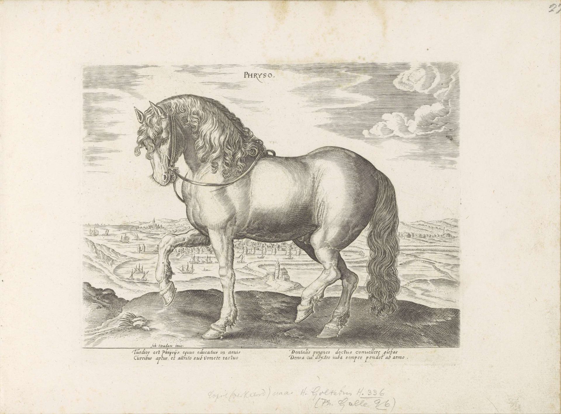 Paard uit Friesland by Anonymous