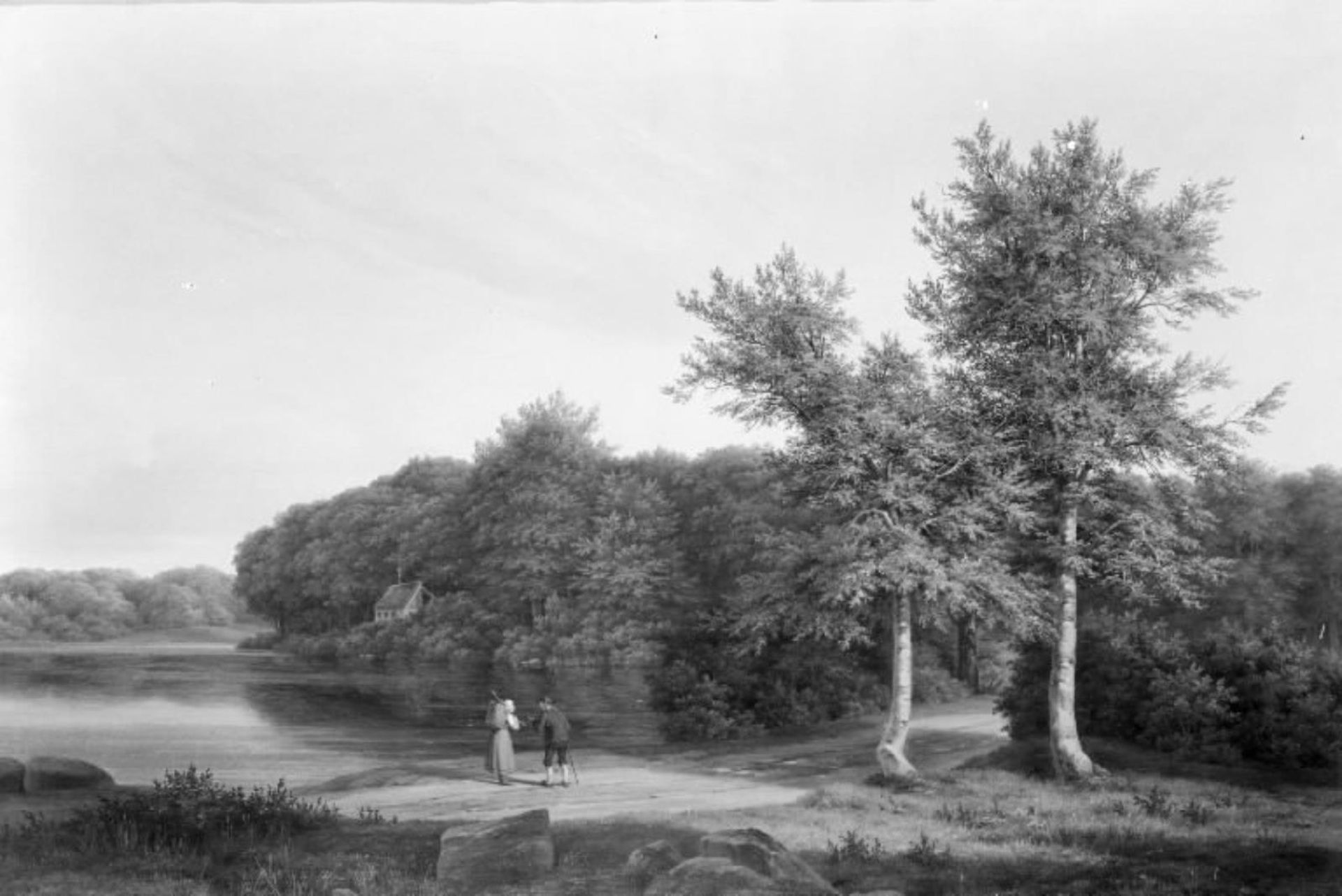 Woodscape near Hellebæk by Adolf Carl