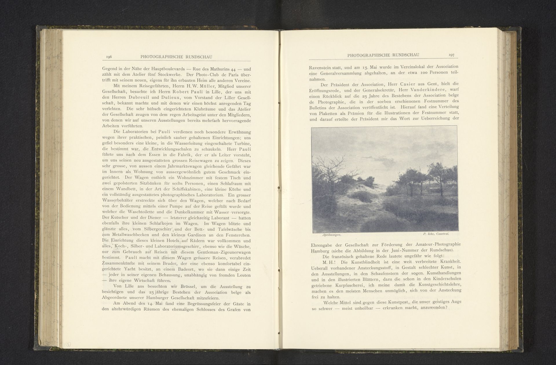 Duinlandschap by P. Ickx