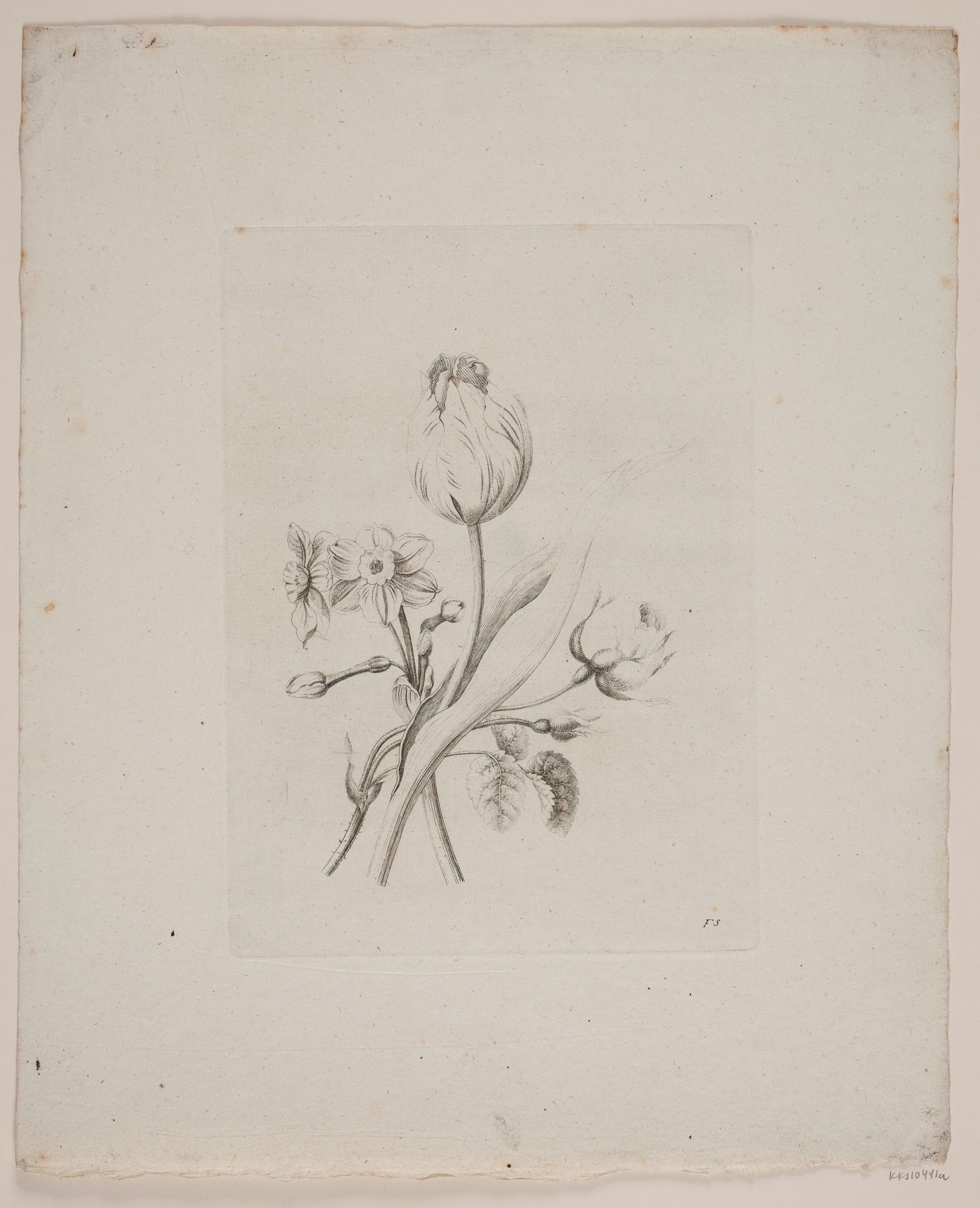 Blomstermotiv by Frederik Schepelern