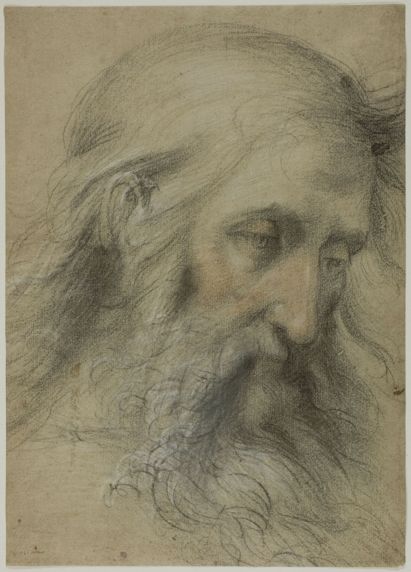 Head of Saint John the Evangelist: Study for the Disputation on the Immaculate Conception by Giovanni Antonio Sogliani