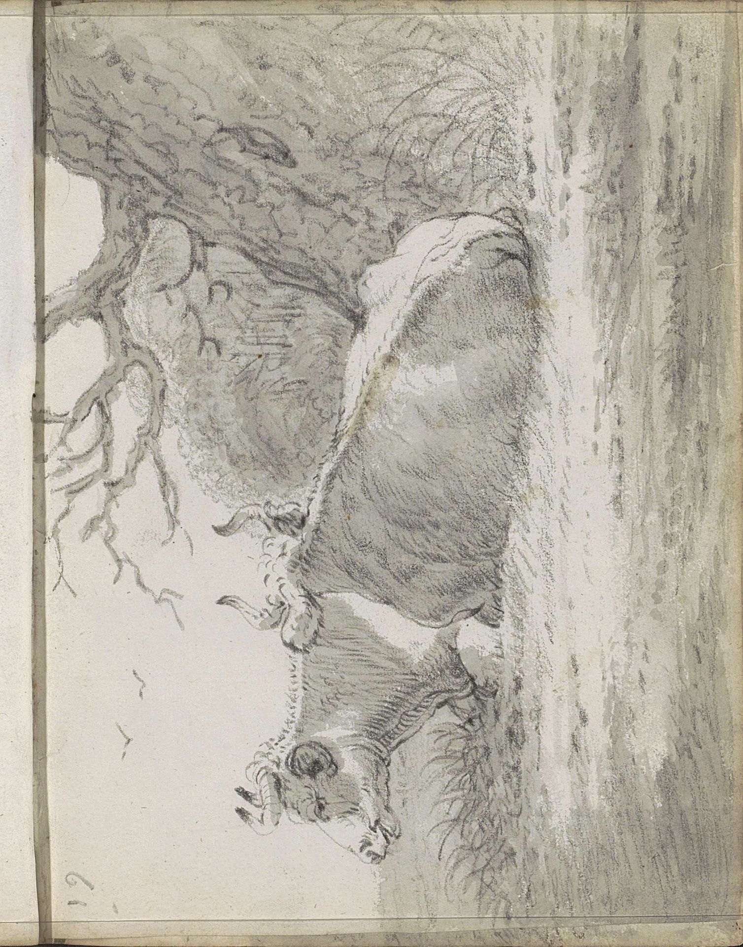 Twee liggende koeien onder een boom by Cornelis Saftleven