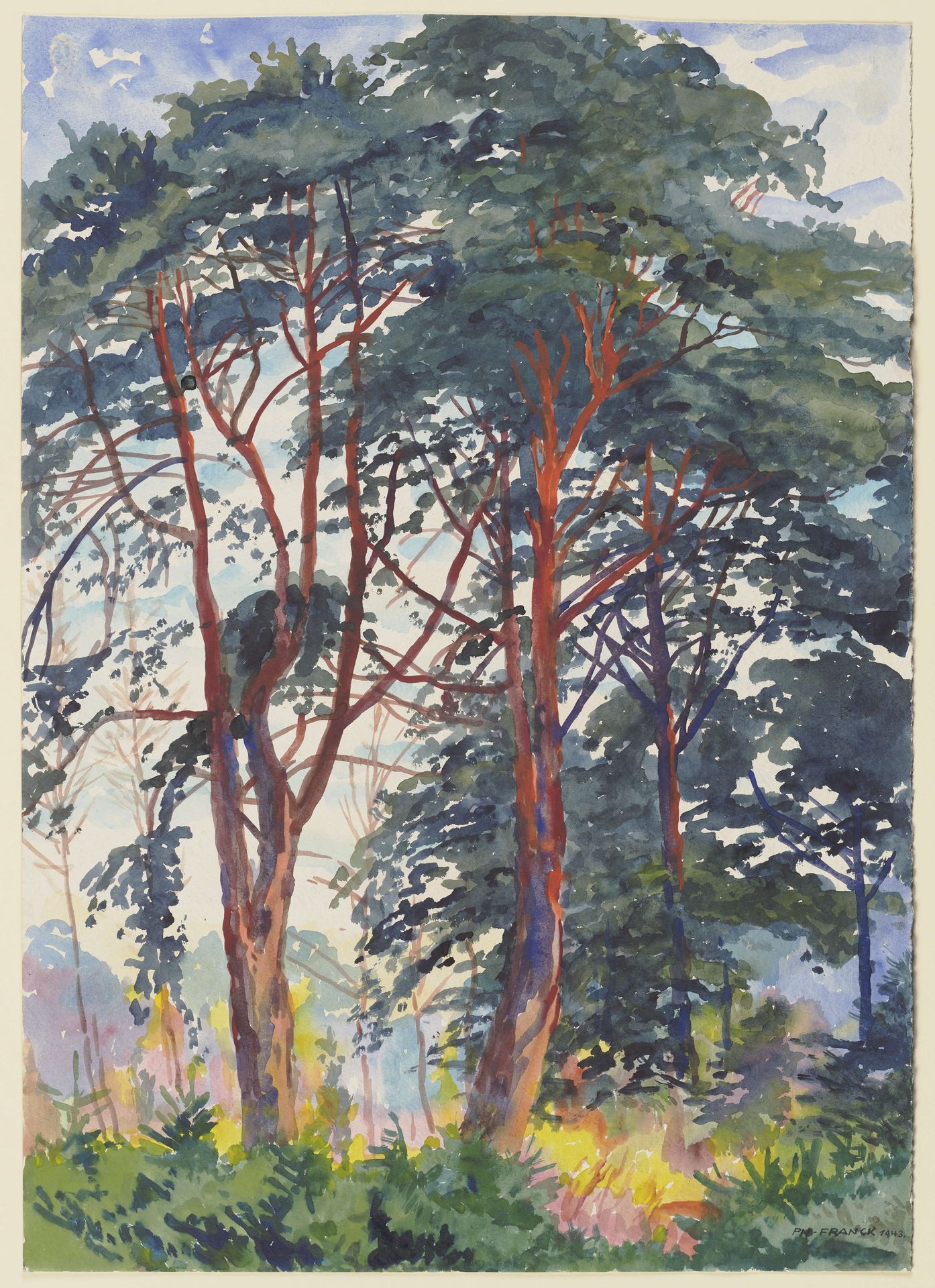 Pine forest by Philipp Franck