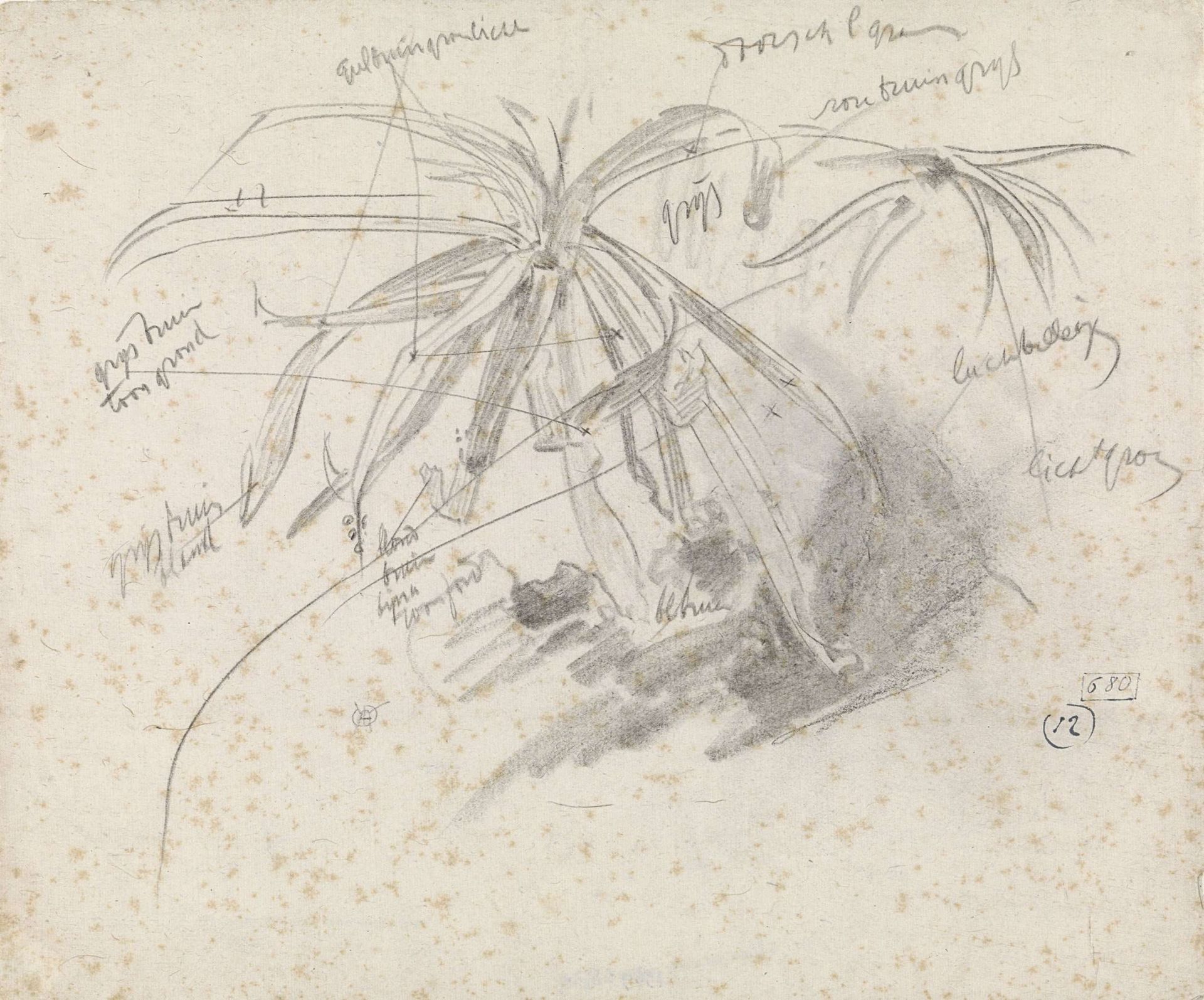 Waterplant, met kleurnotities by Gerrit Willem Dijsselhof