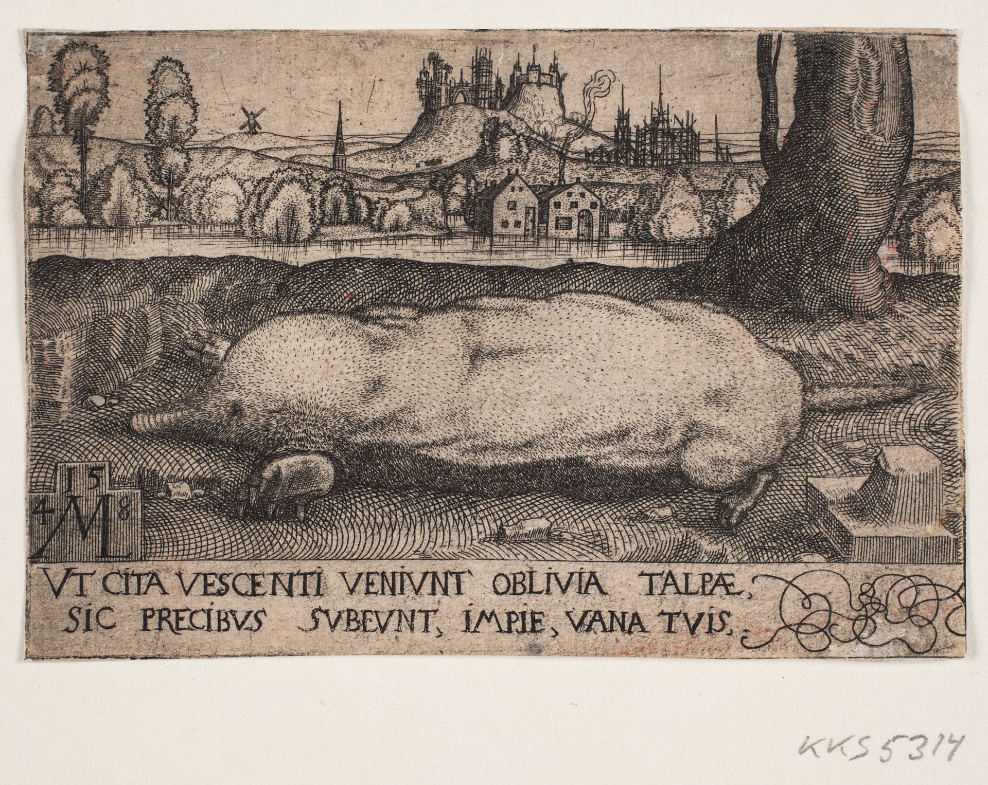 The mole by Melchior Lorck