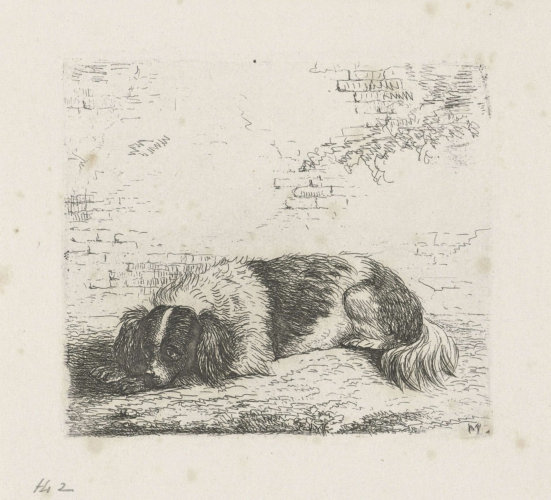 Liggende hond naar links by Christiaan Wilhelmus Moorrees