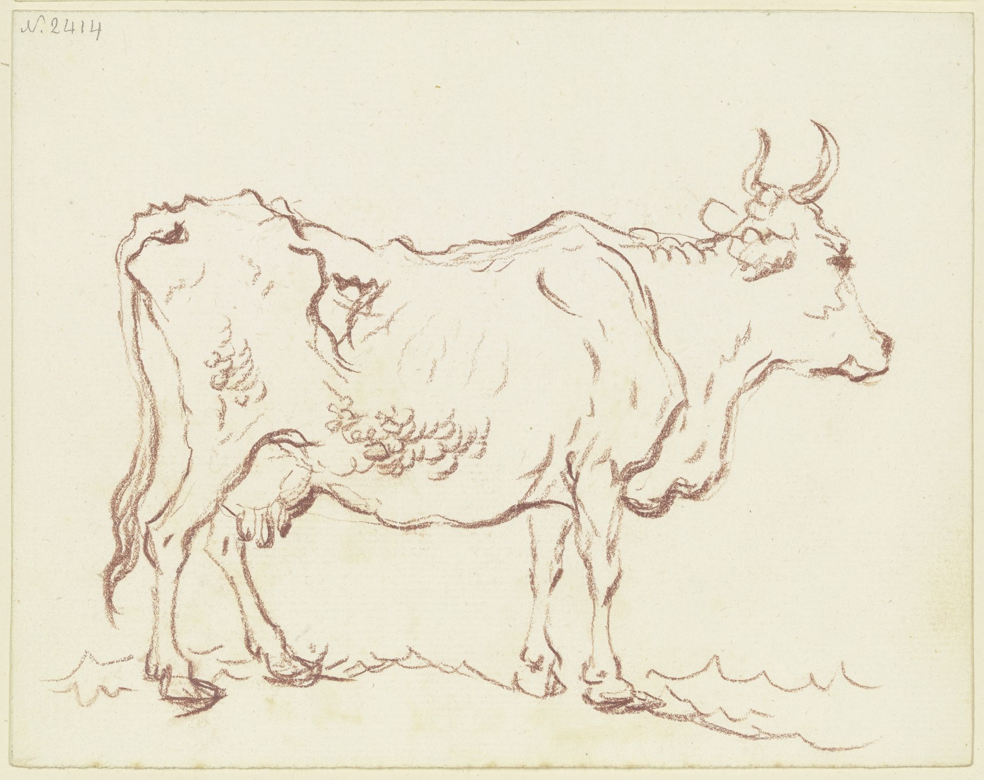 Standing cow to the right by Friedrich Wilhelm Hirt