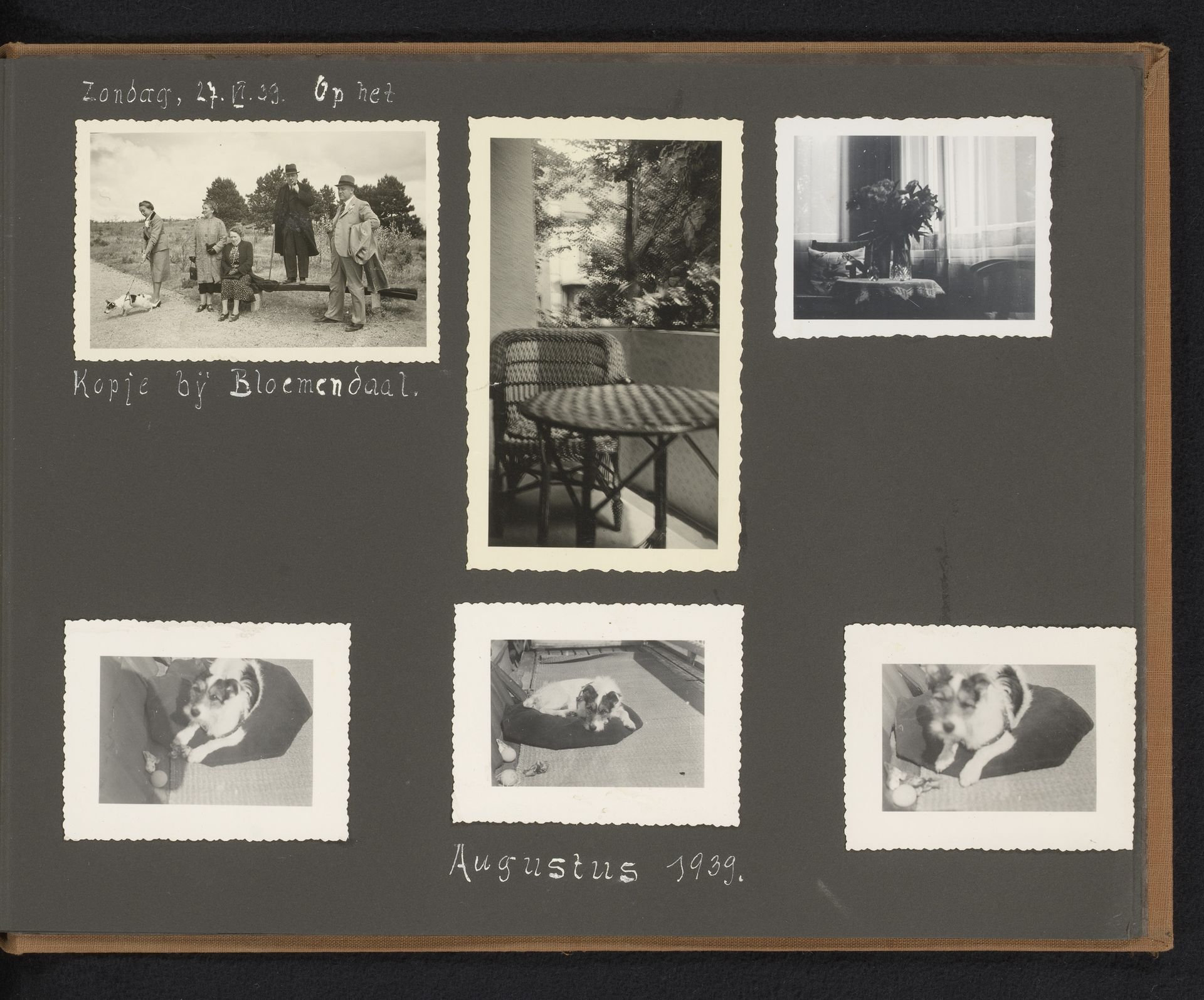 Groepsportret te Bloemendaal, twee interieurs en de hond Bessie by Herman Besselaar
