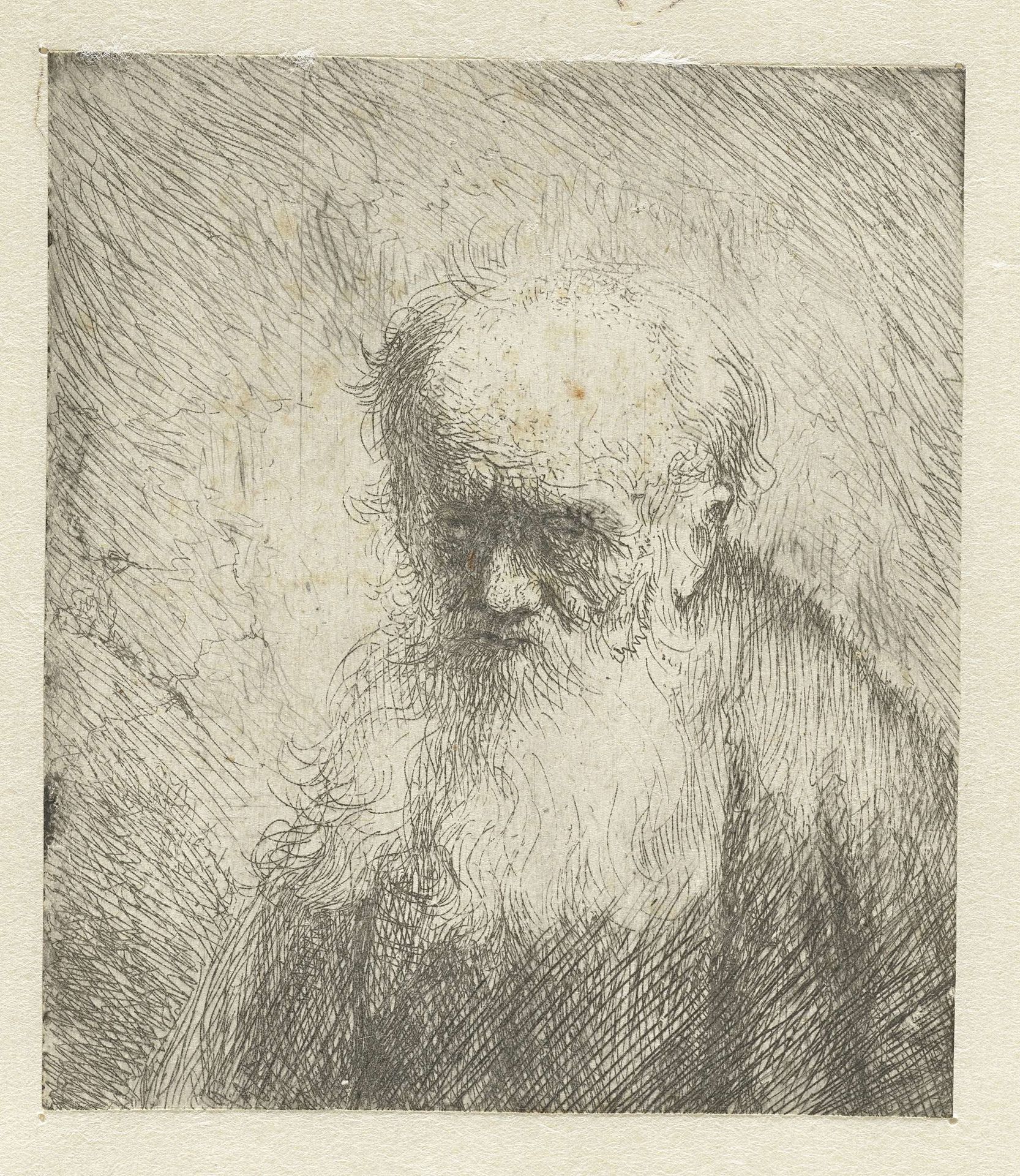 Buste van een oude man met een lange baard by Jan Lievens
