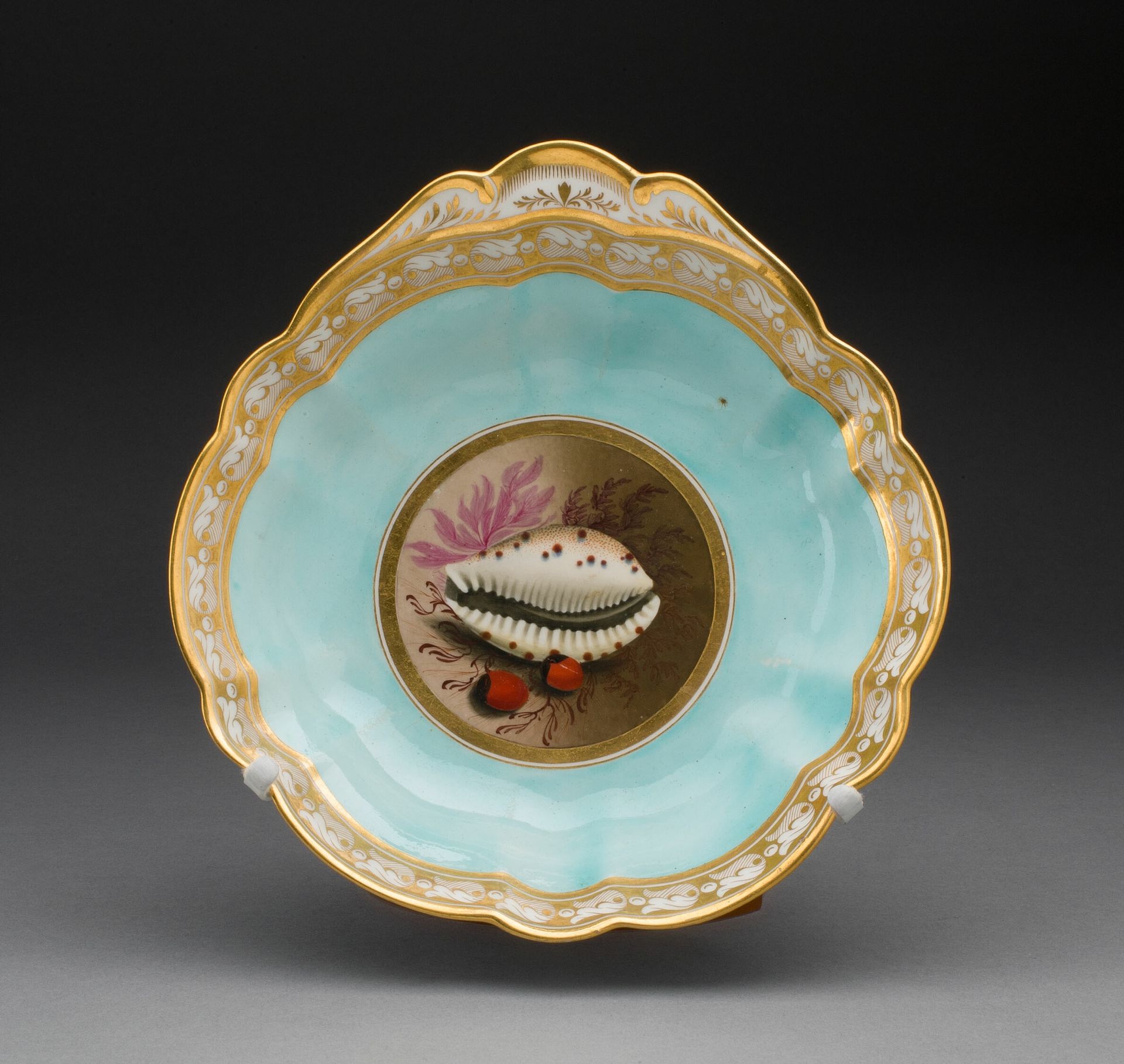 Plate by Worcester Royal Porcelain Company