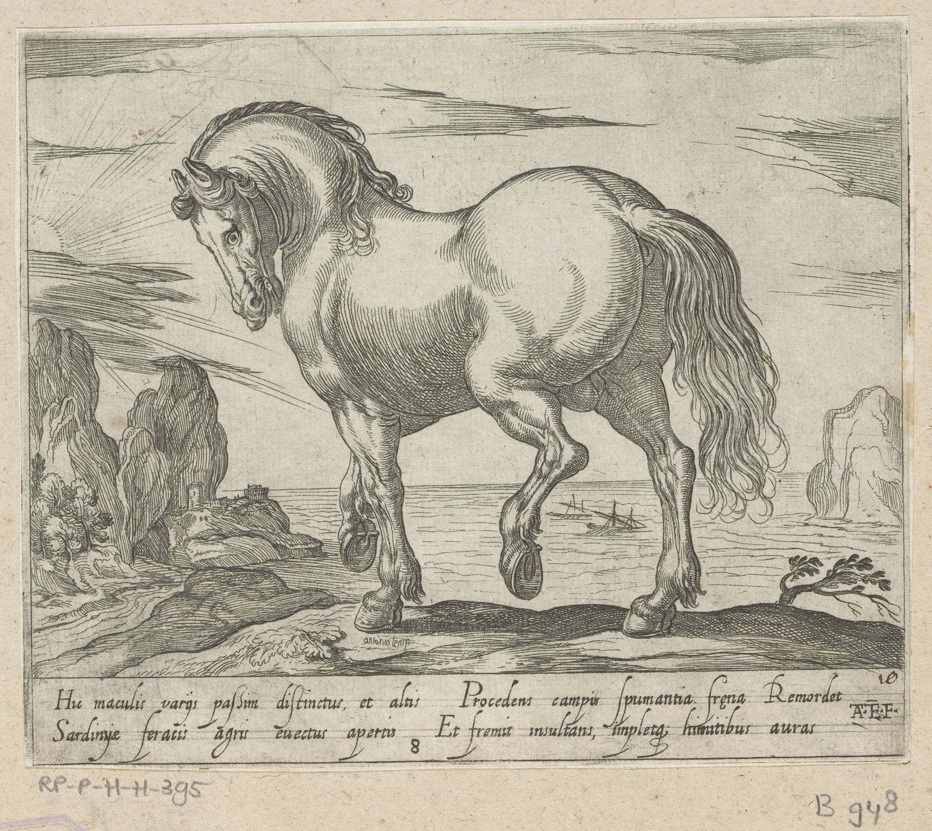 Staand paard naar links gewend, voor een zeegezicht by Antonio Tempesta