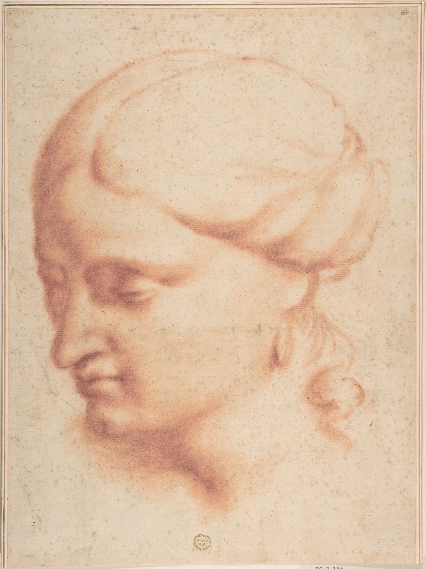 Head of a Woman by Anonymous