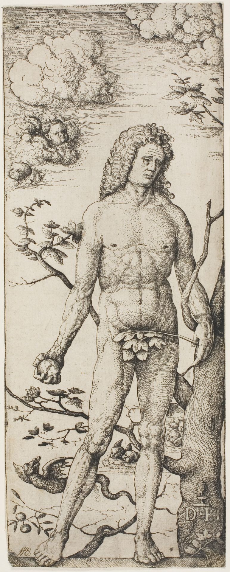 Adam by Daniel Hopfer
