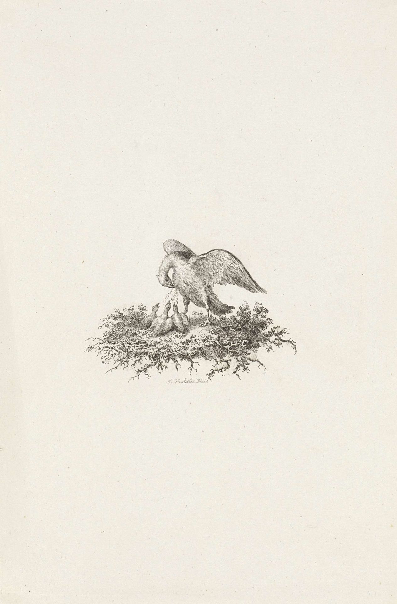 Vignet met een pelikaan die zich in de borst pikt by Reinier Vinkeles