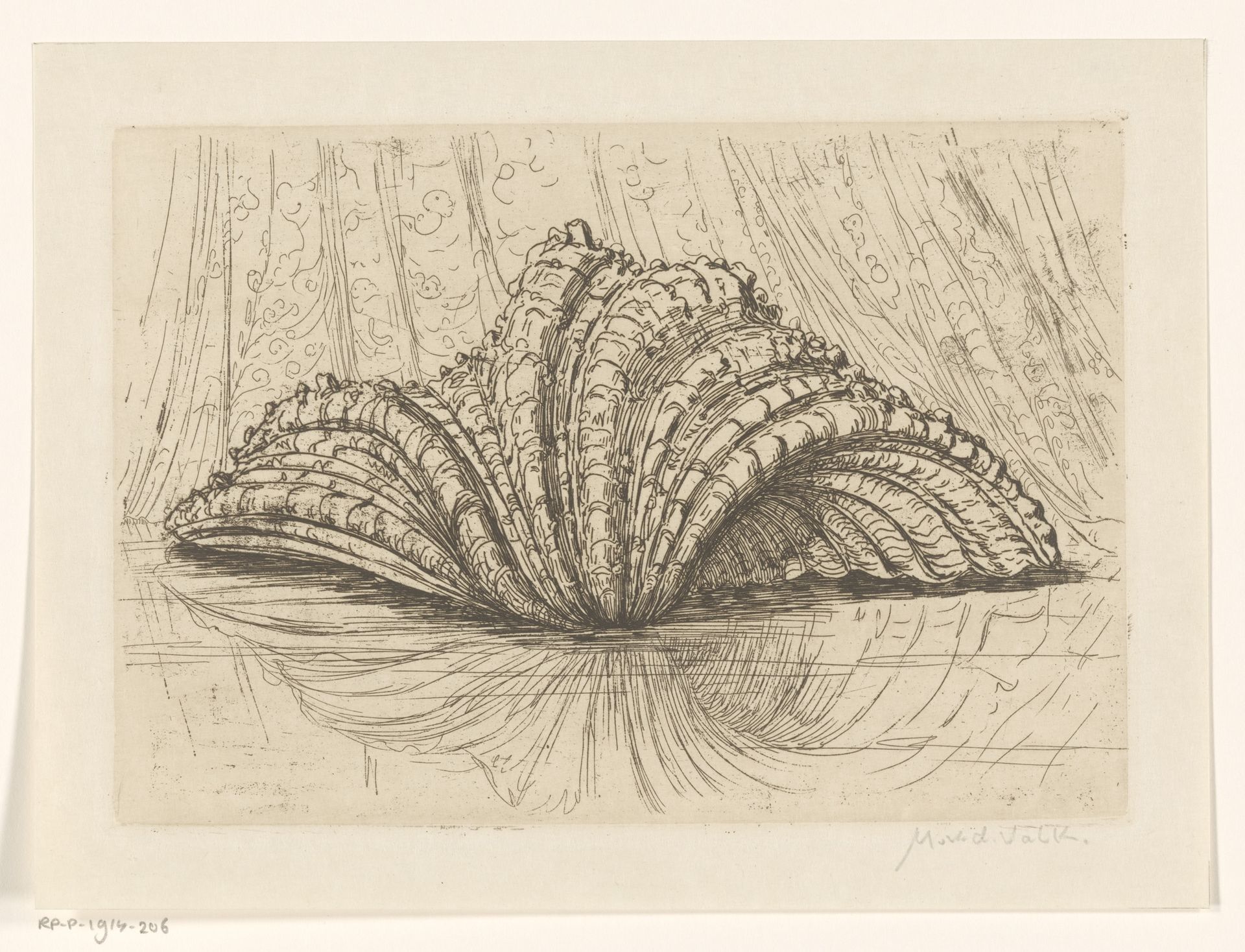 Schelp by Maurits van der Valk