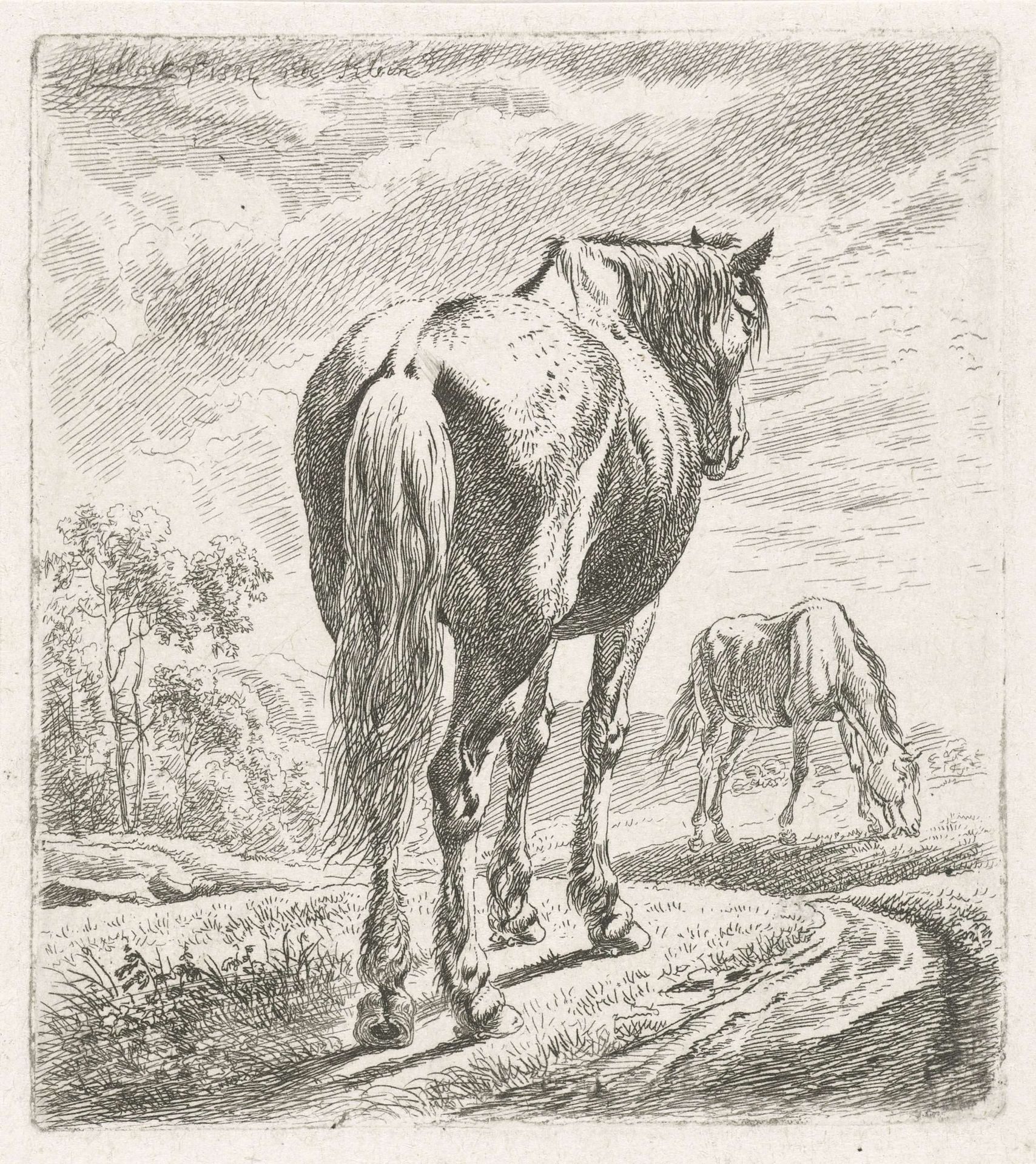 Paard van achteren gezien by Johannes Mock