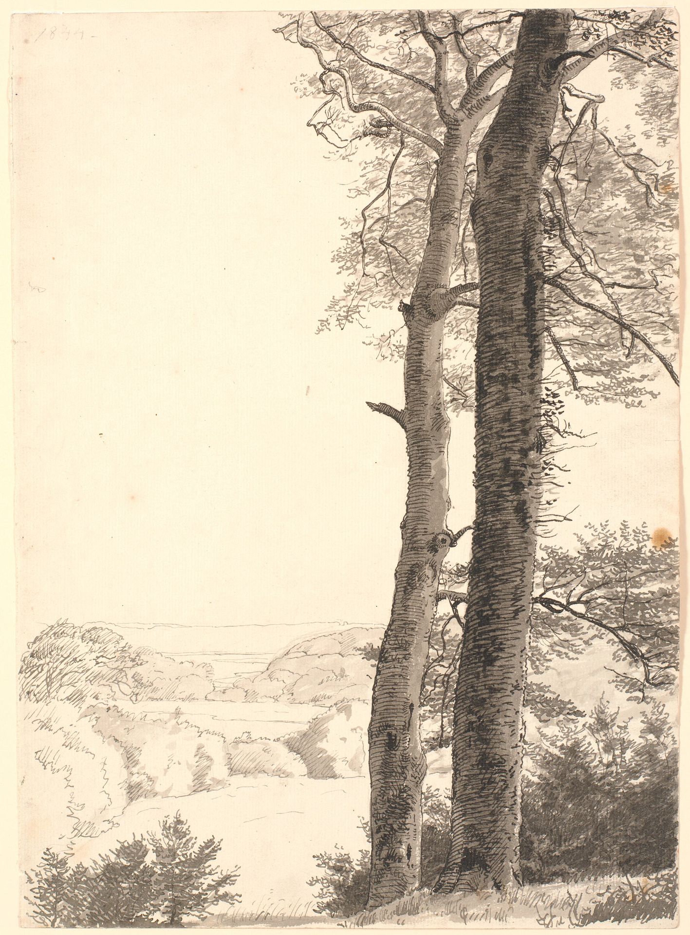 Landskab ved Skarritsø med to høje træer, bøge, i forgrunden. by P.C. Skovgaard