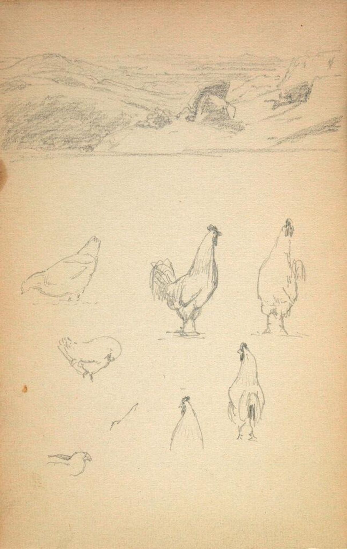 Blank page; verso: Small Landscape; Chickens by Sanford Robinson Gifford