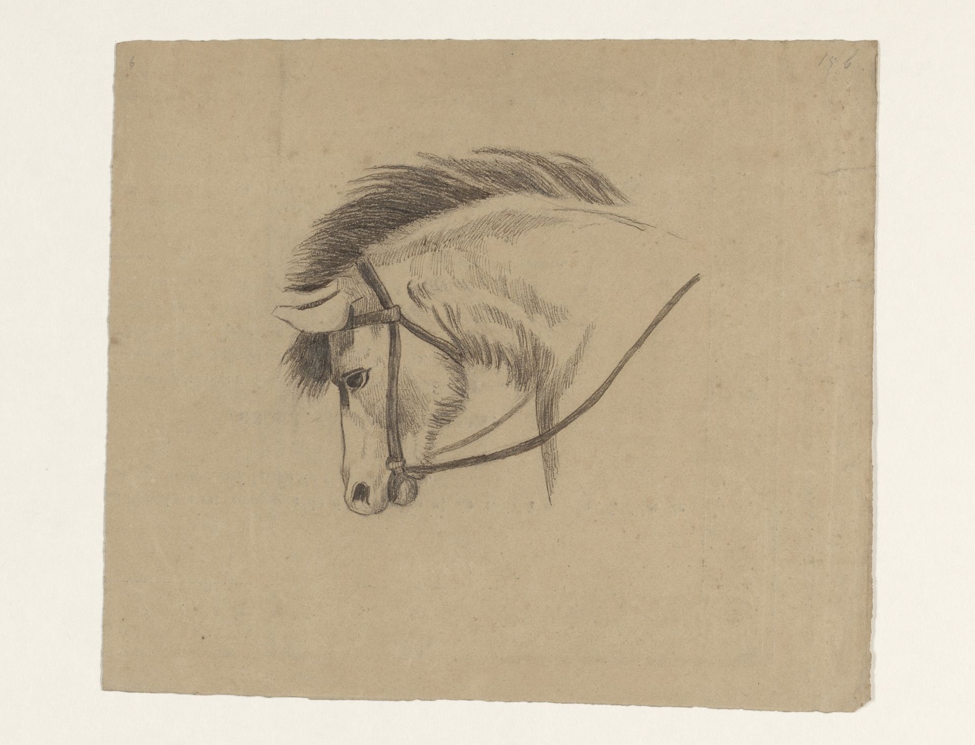 Hoofd van een paard, naar links by Johannes Tavenraat