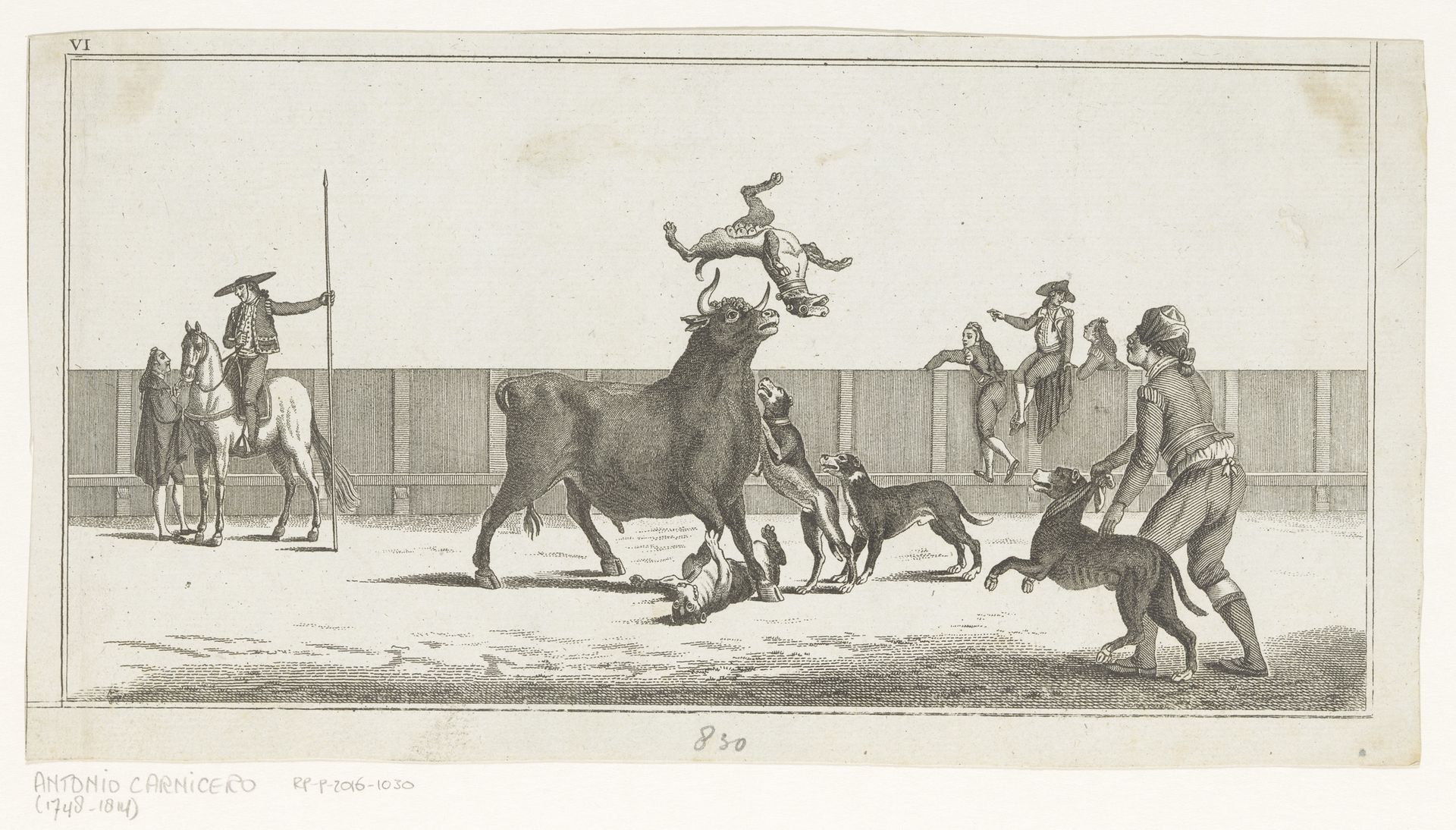 Stier aangevallen door honden by Anonymous