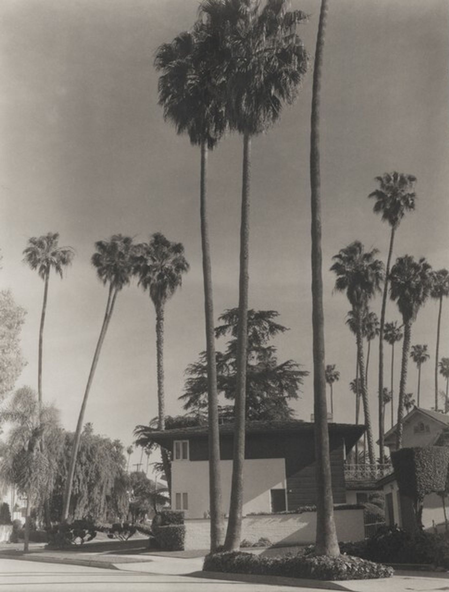12th Street/Arlington, Country Park by Madoka Takagi
