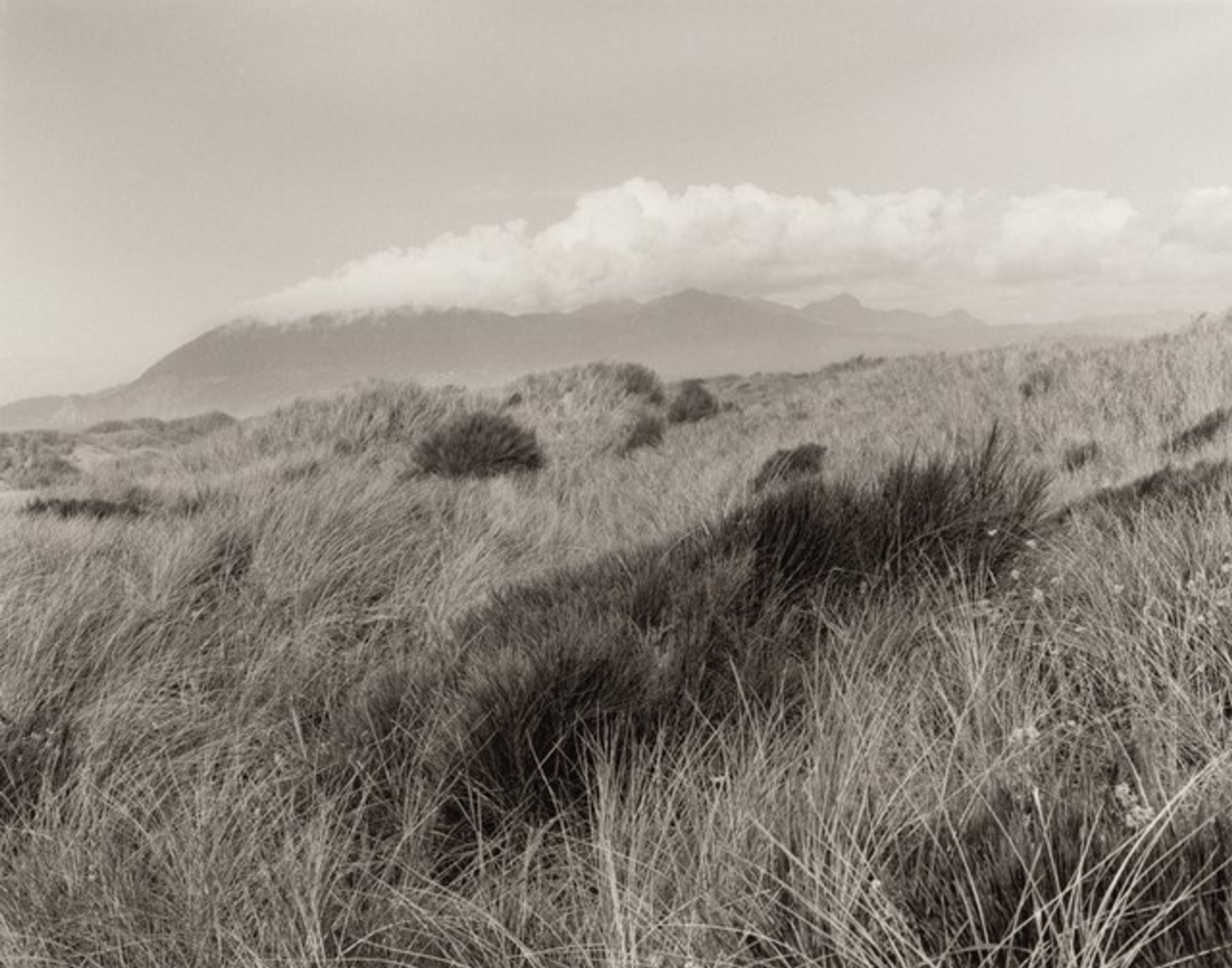 The Interior of the Spit by Robert Adams