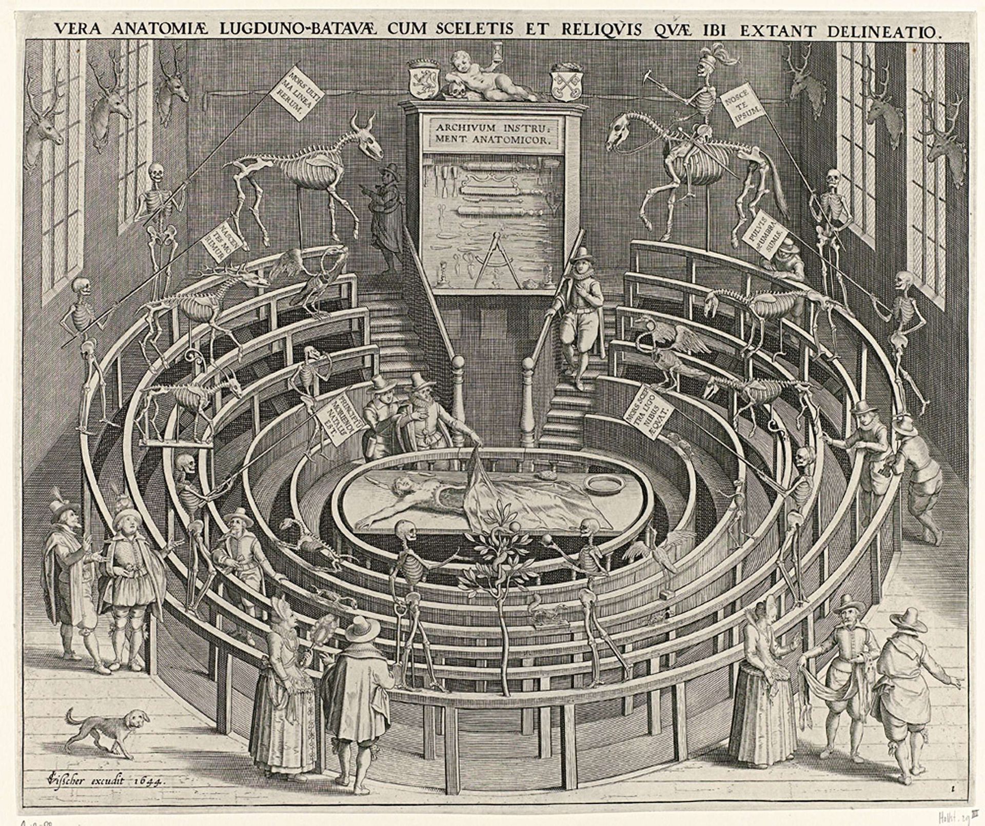 Anatomisch theater van de Universiteit Leiden by Willem van Swanenburg