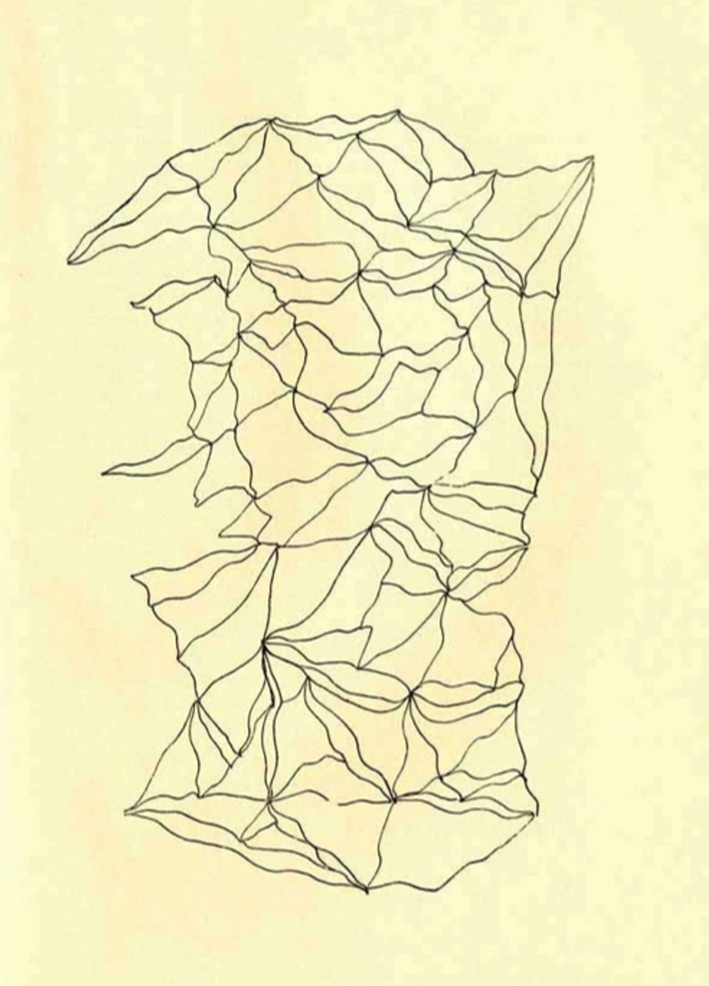 Entopic Graphomania by Dolfi Trost