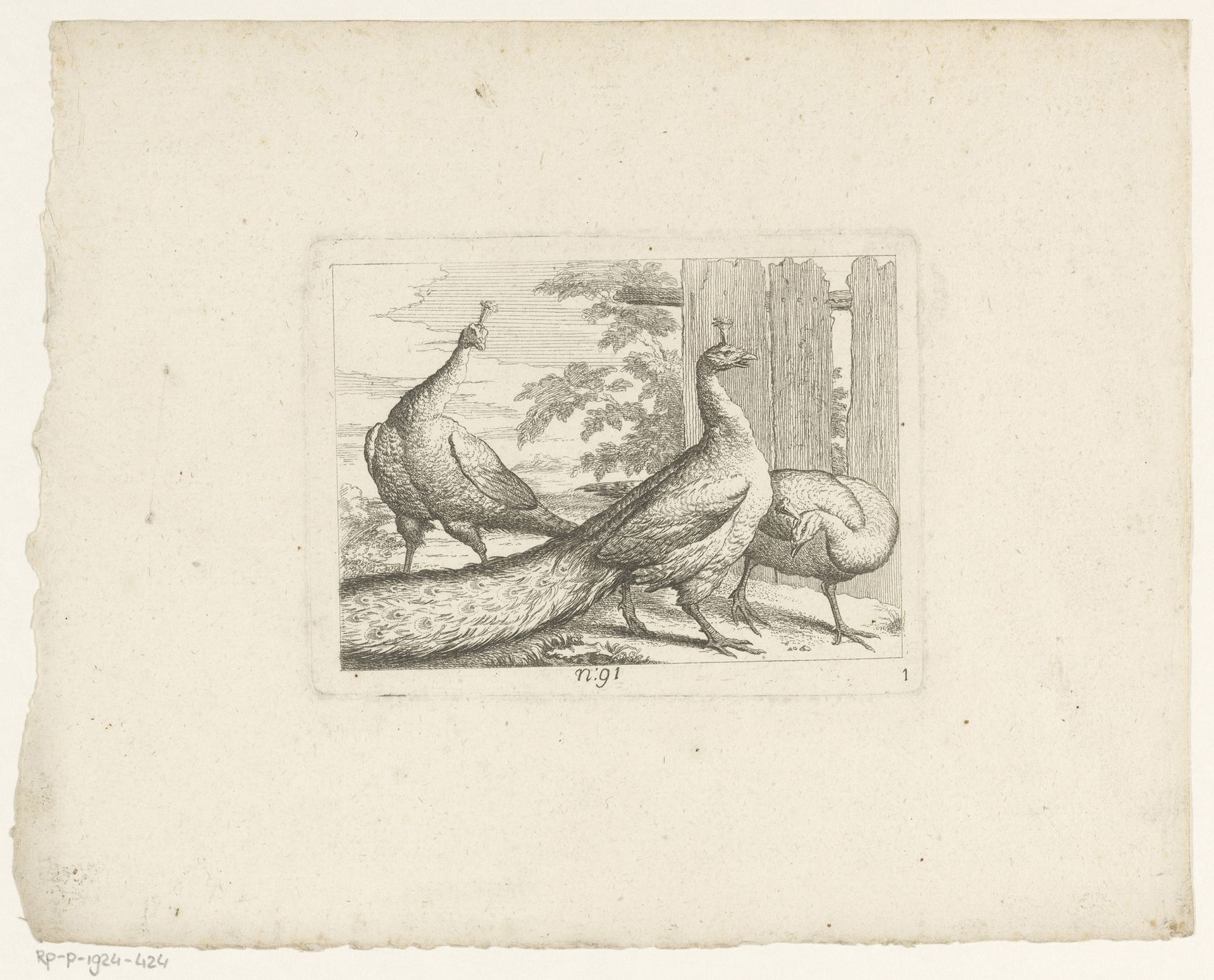 Landschap met drie pauwen by Johann Georg Hertel