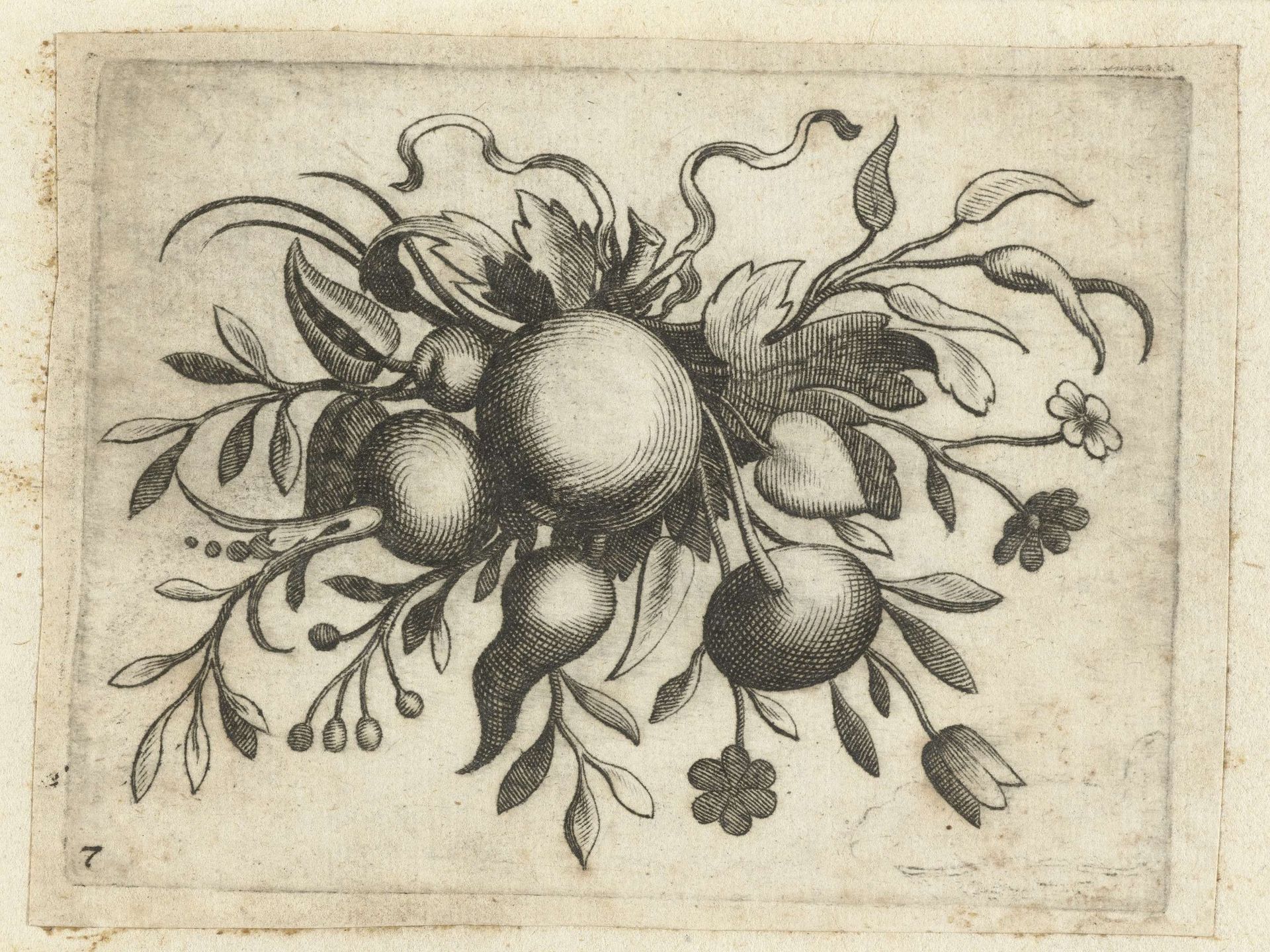 Festoen van vruchten by Dietrich Krüger