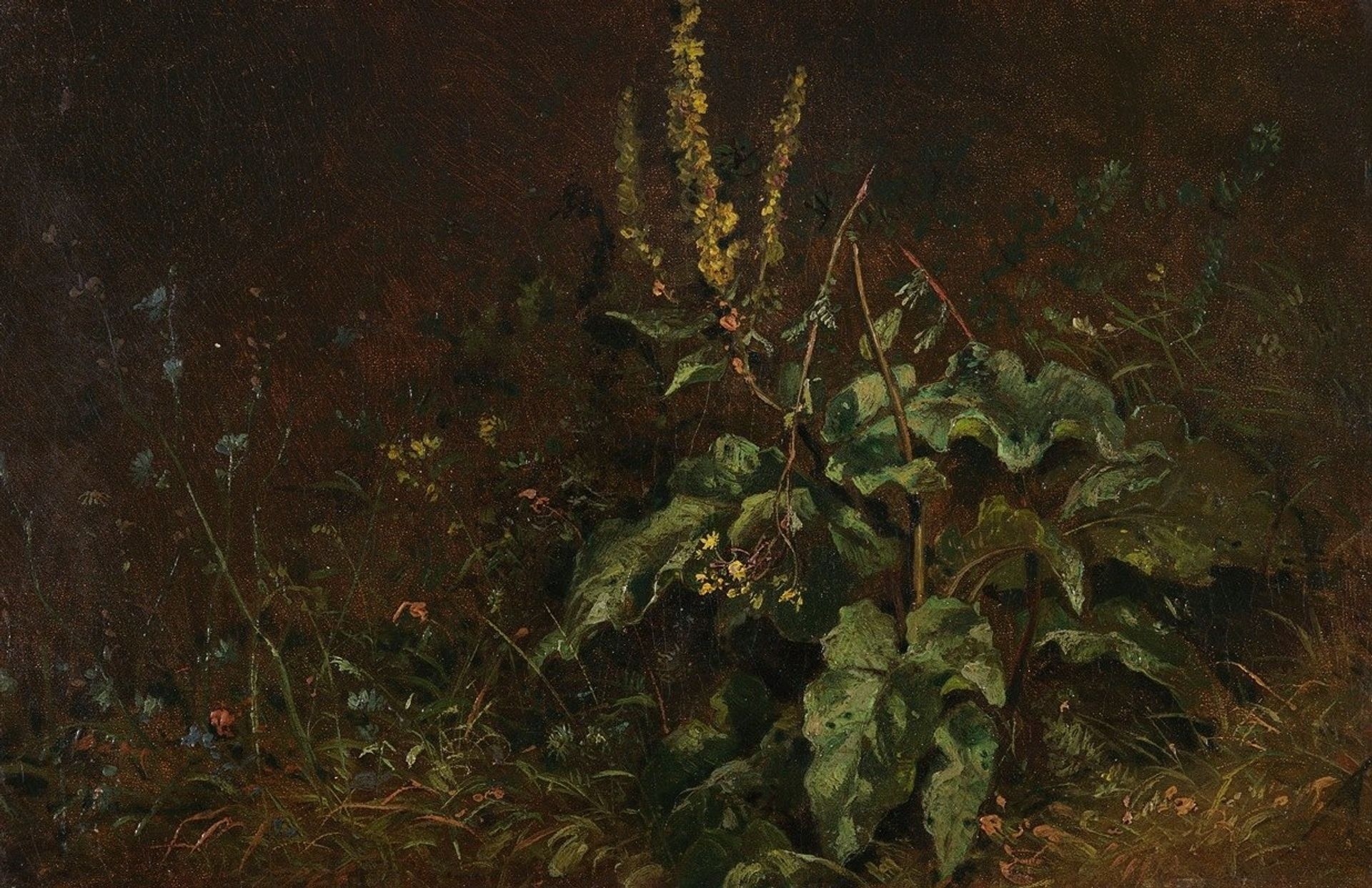 Stauden by Carl Spitzweg