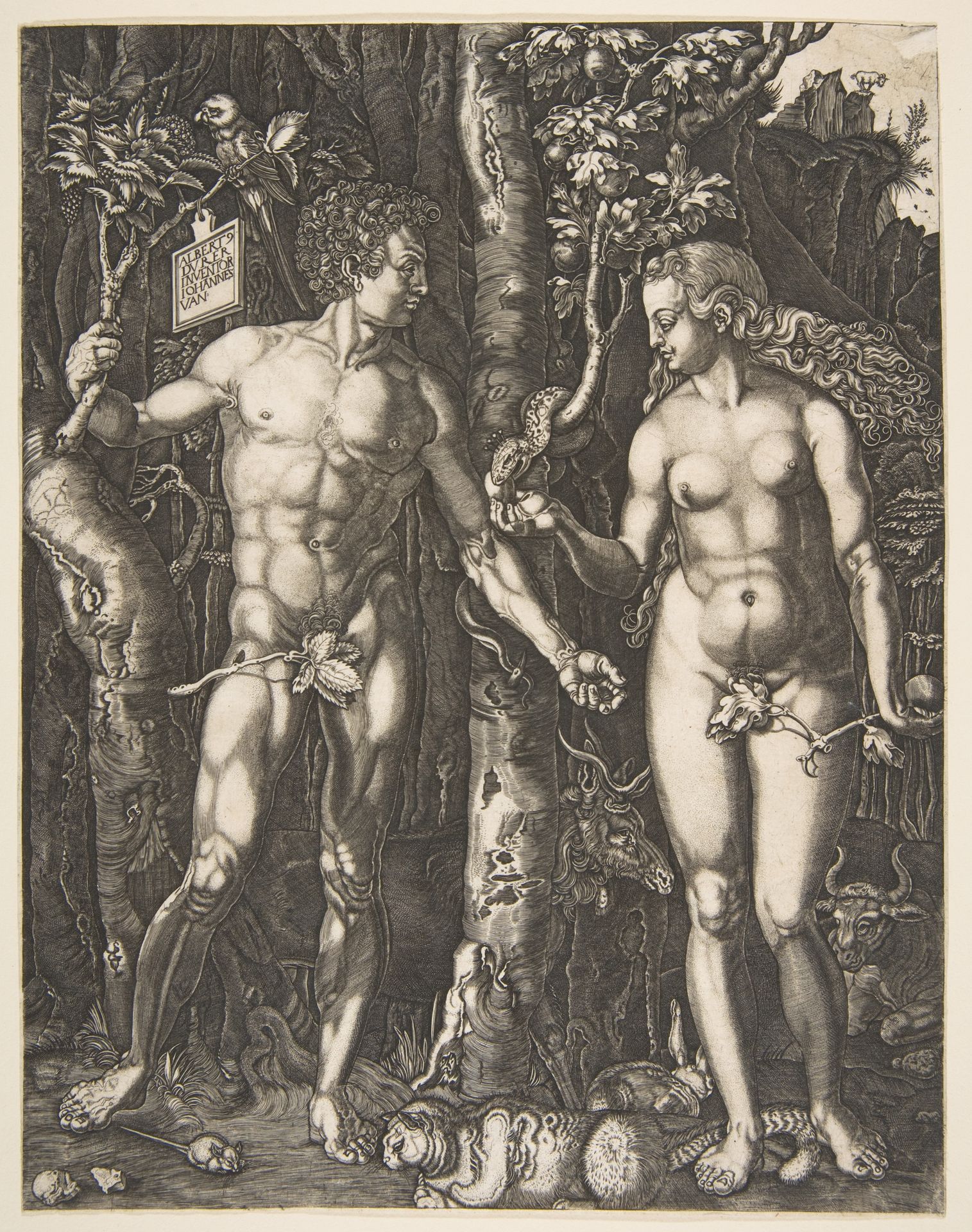 Adam and Eve by Albrecht Durer