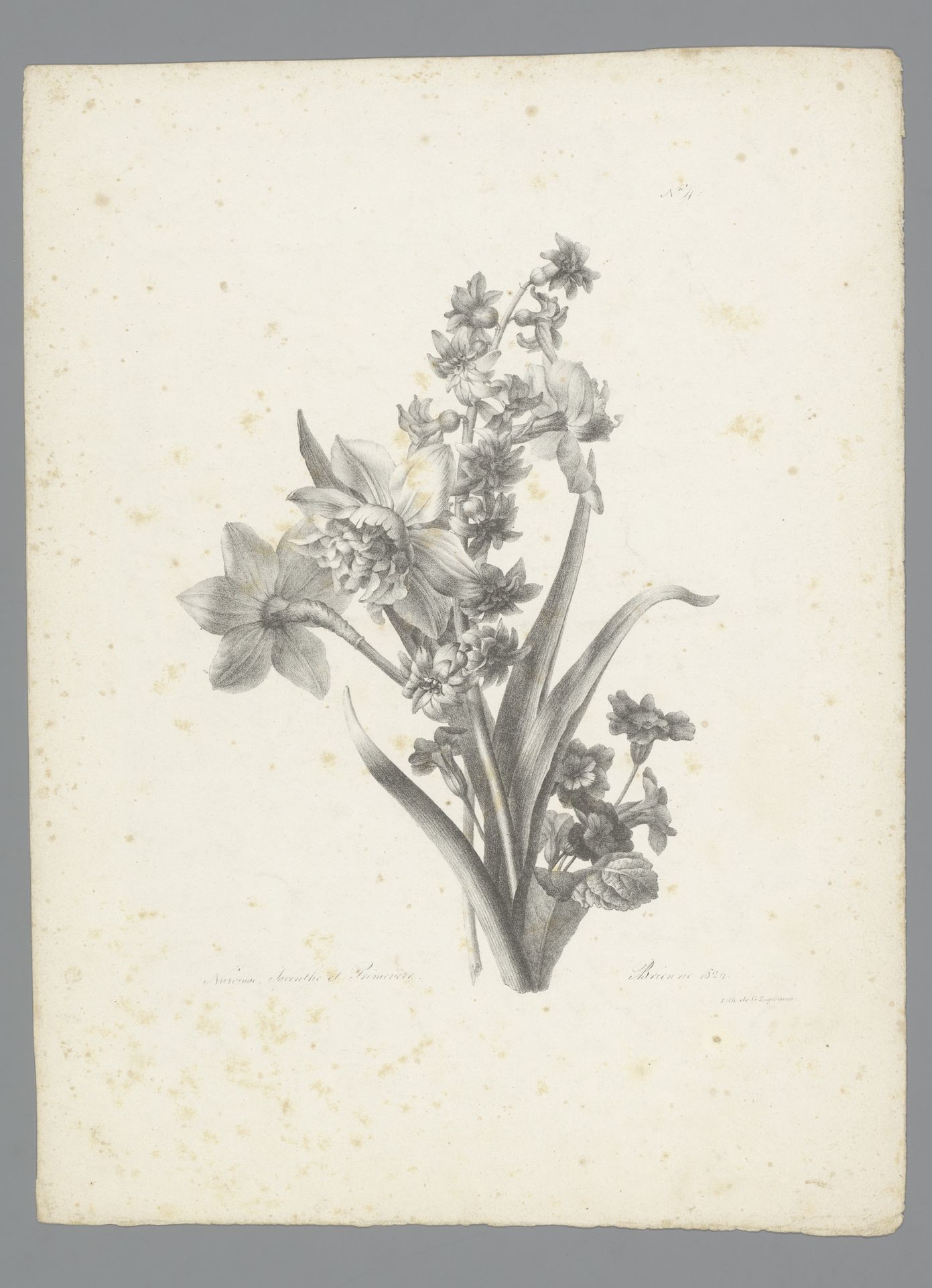 Boeket met narcis, hyacint en primula by Auguste Piquet de Brienne