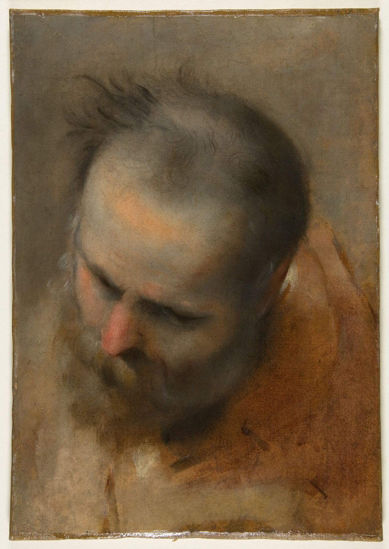 Head of a Bearded Man Looking to Lower Left (Nicodemus) by Federico Barocci