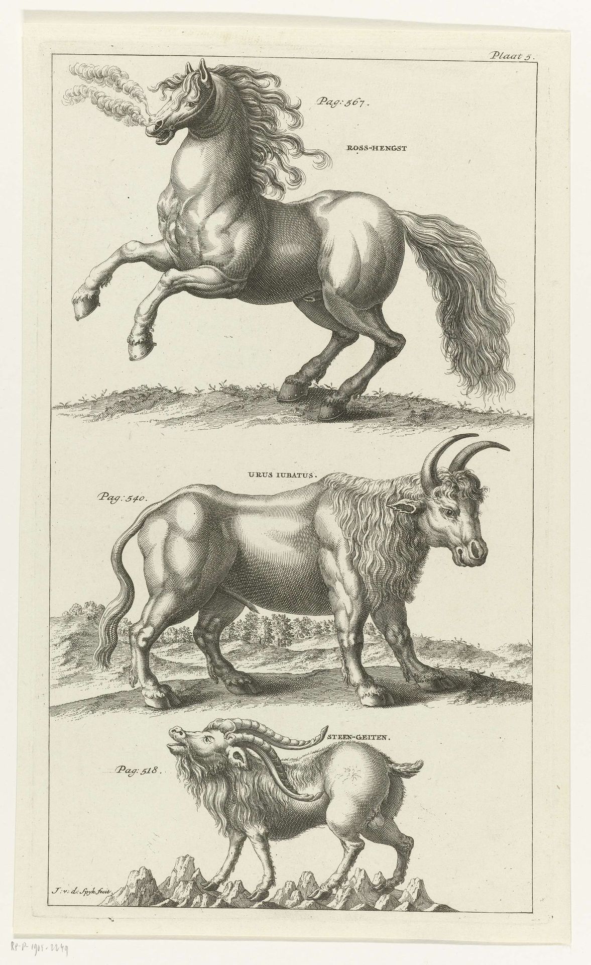 Wild paard, een os en een steengeit by Johannes van der Spyck