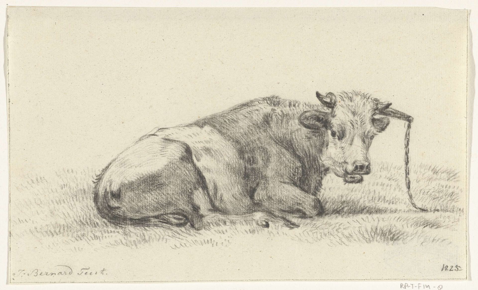 Liggende koe, naar rechts by Jean Bernard