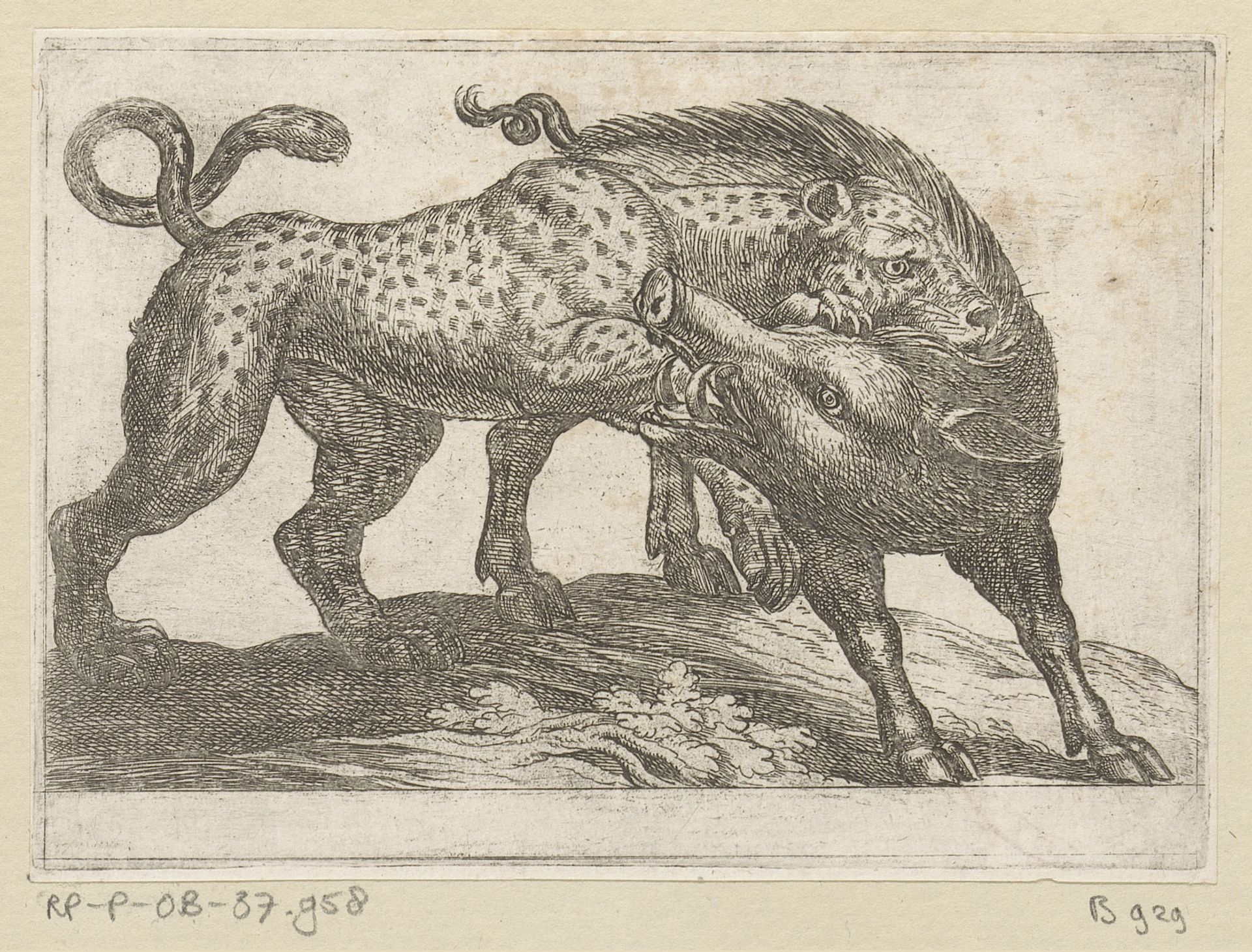 Een luipaard vechtend met een everzwijn by Antonio Tempesta