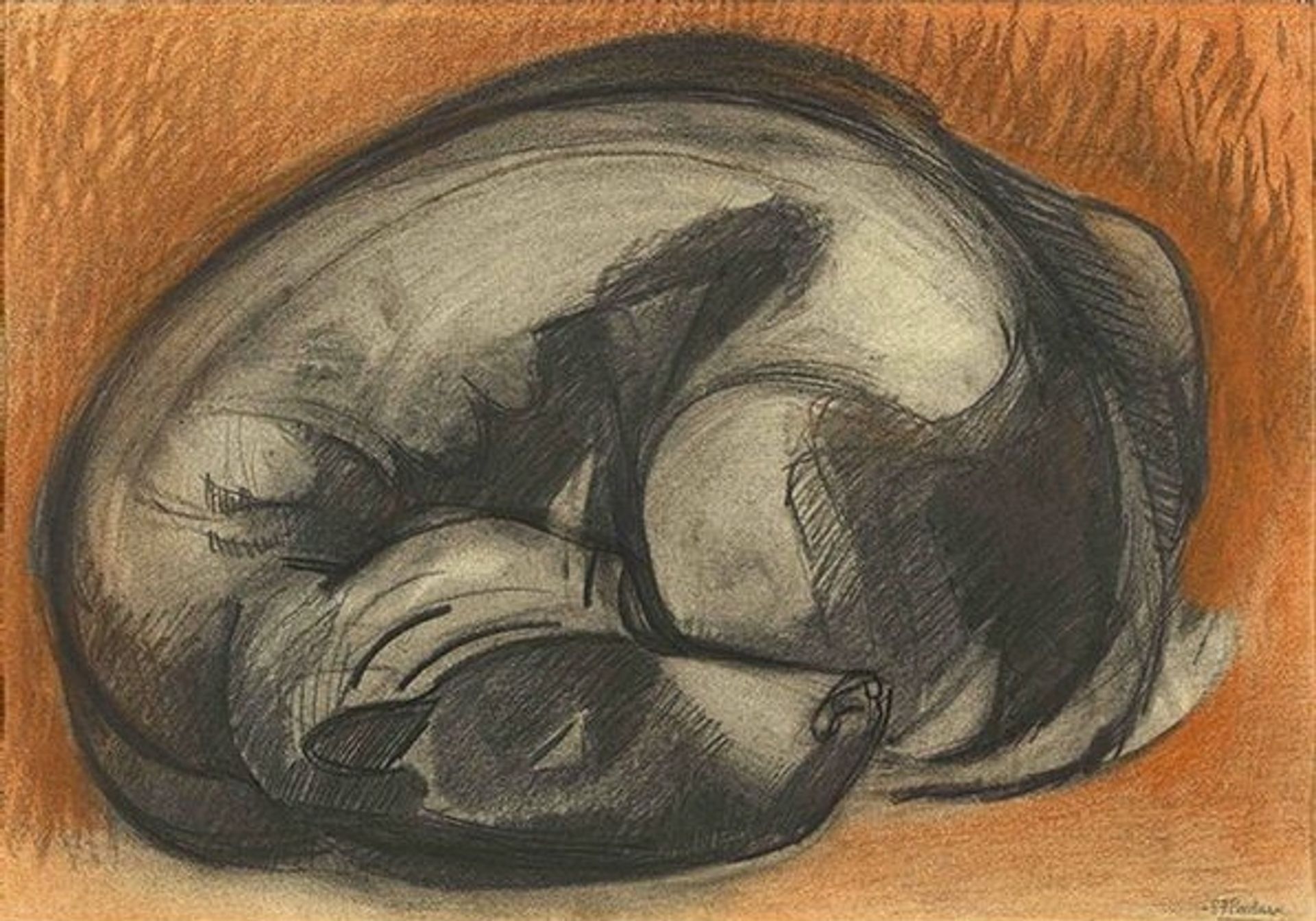 Sleeping Dog by Stanley Pinker