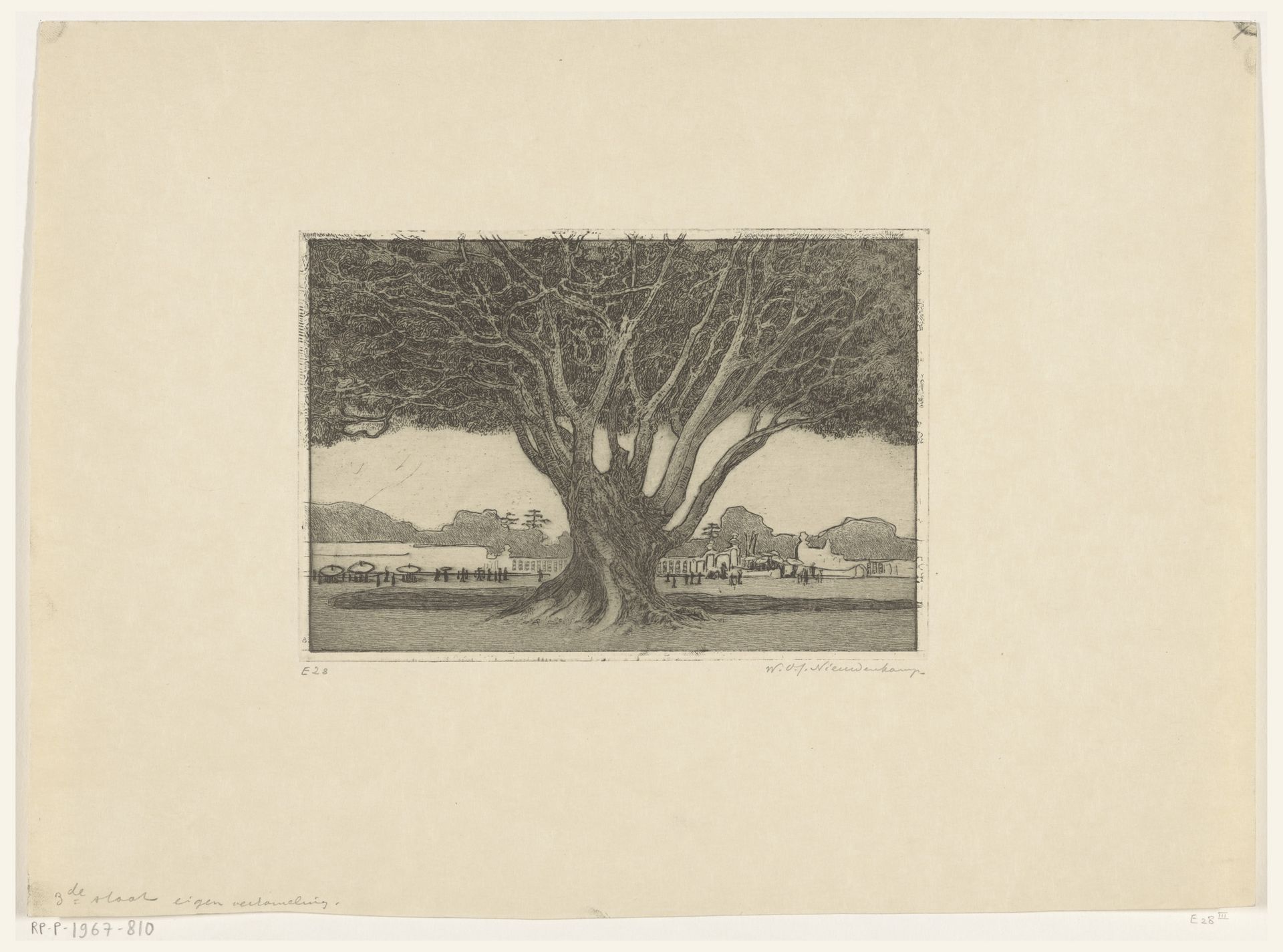 Waringin in de tuin van het paleis van de sultan in Jogyakarta by Wijnand Otto Jan Nieuwenkamp