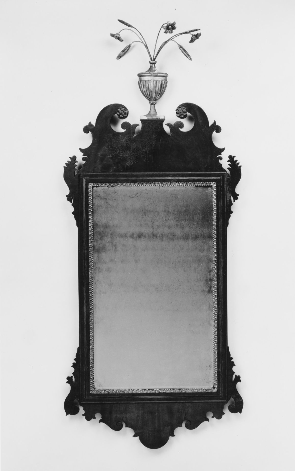 Looking Glass by James Stokes
